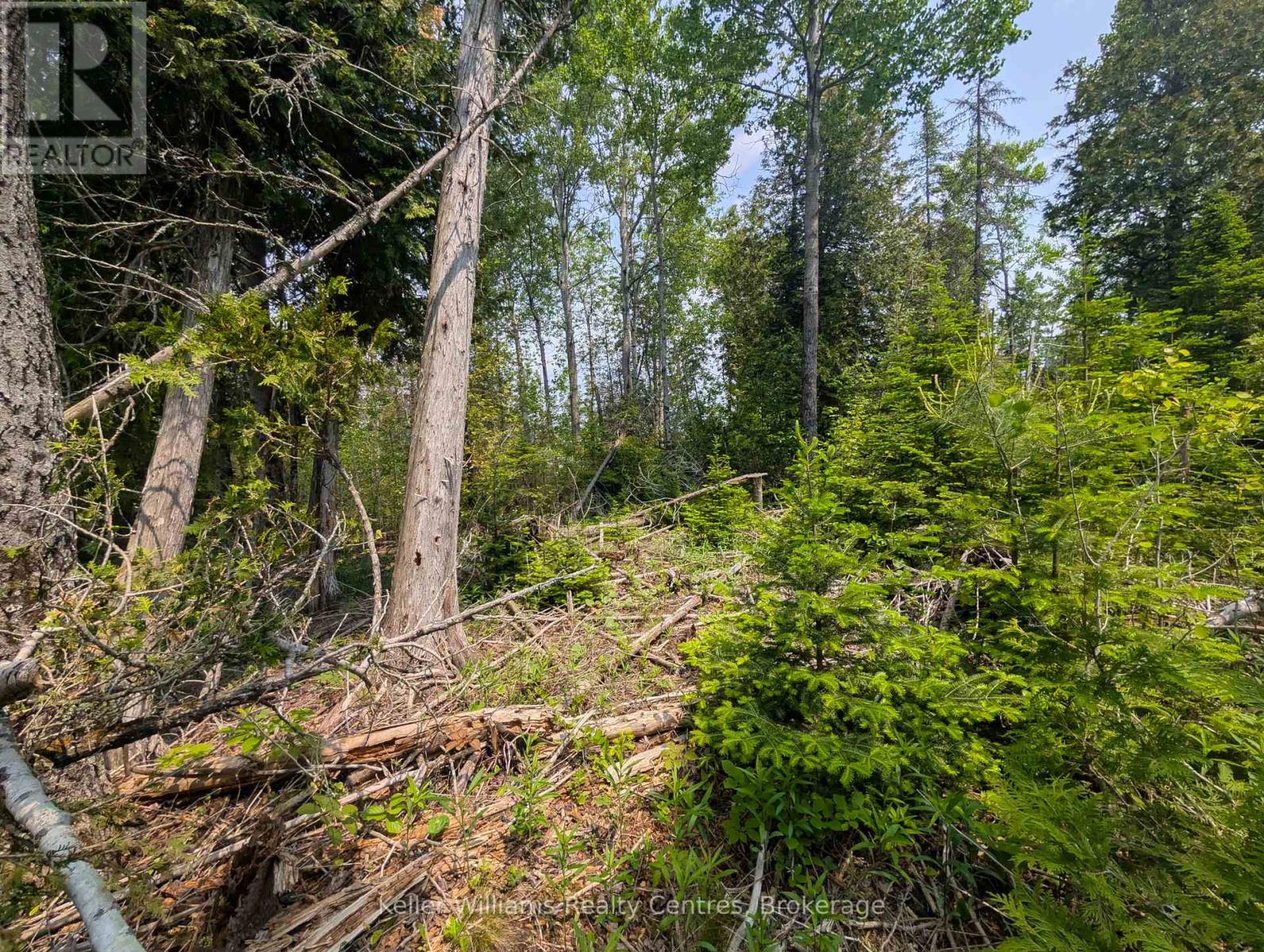 Pcl 2-3 Pt Lt 2 Walter Charman Drive, Northern Bruce Peninsula, Ontario  N0H 1W0 - Photo 8 - X12219909