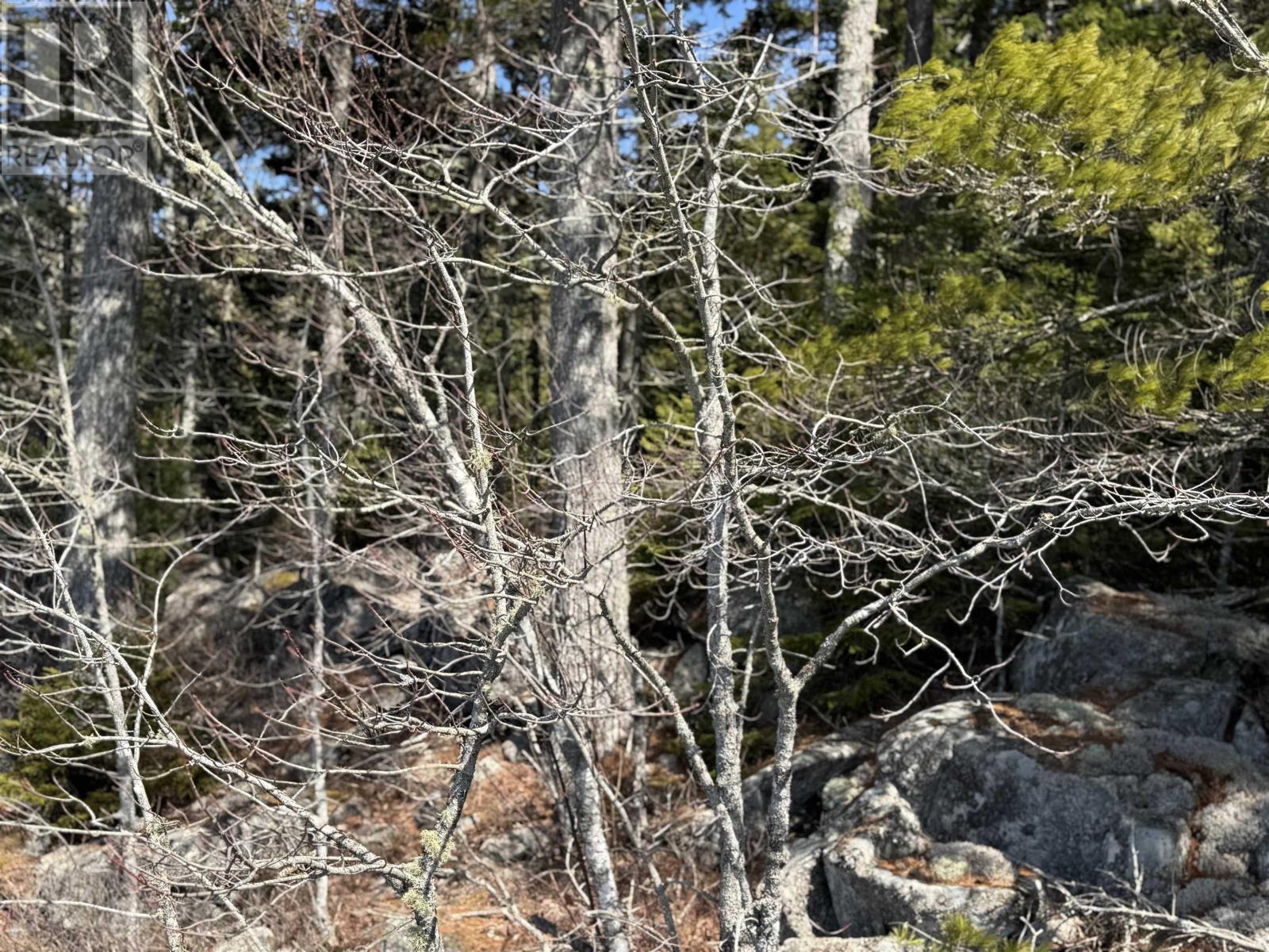Lot 15 Bridge Road, Forties, Nova Scotia  B0J 2M0 - Photo 11 - 202506715