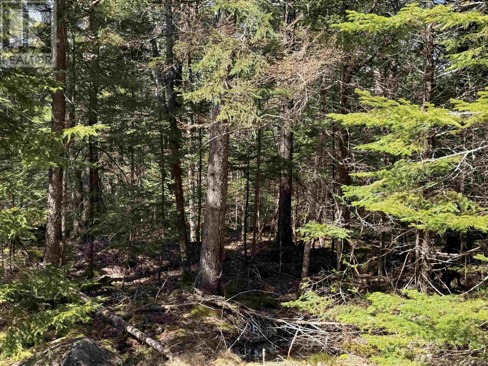 Lot 15 Bridge Road, Forties, Nova Scotia  B0J 2M0 - Photo 1 - 202506715