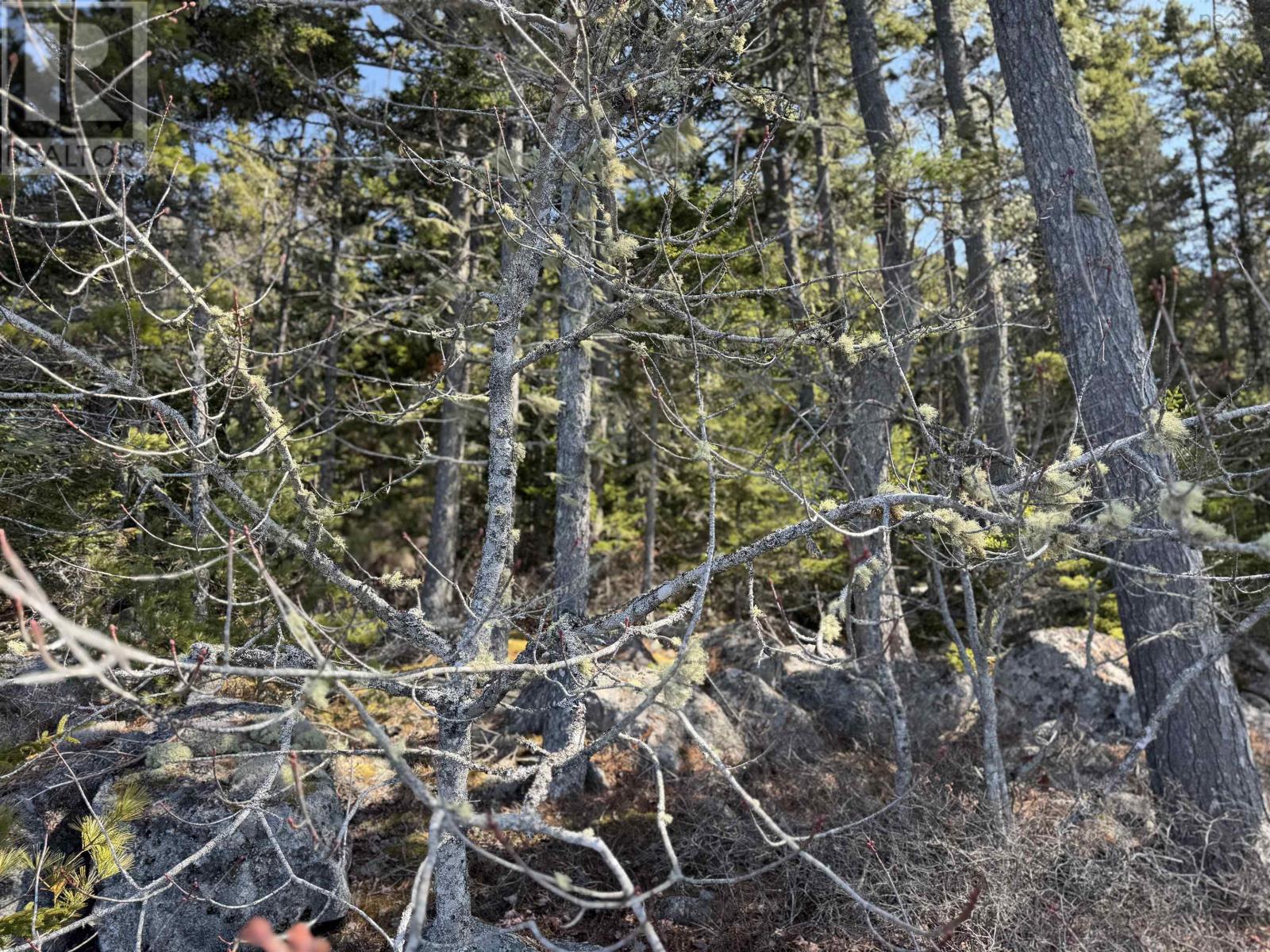 Lot 15 Bridge Road, Forties, Nova Scotia  B0J 2M0 - Photo 3 - 202506715