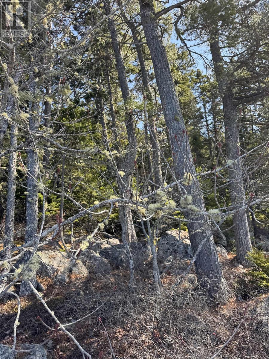 Lot 15 Bridge Road, Forties, Nova Scotia  B0J 2M0 - Photo 5 - 202506715