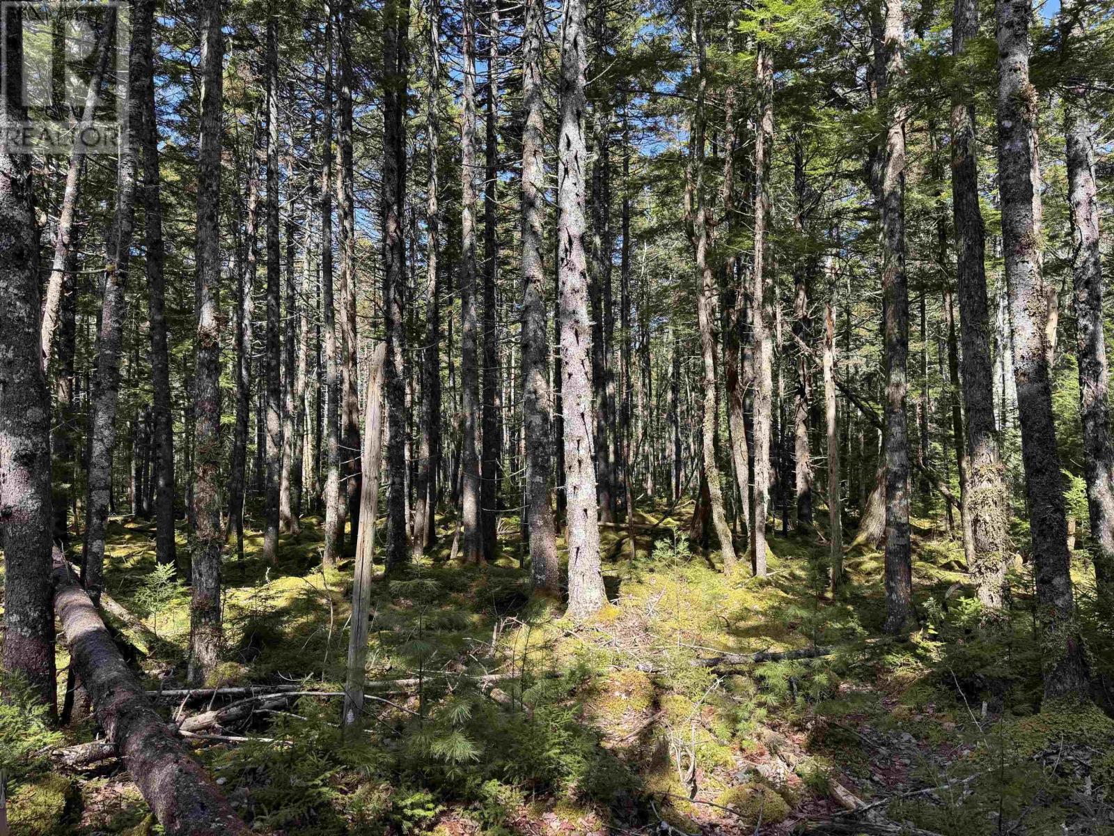Lot 15 Bridge Road, Forties, Nova Scotia  B0J 2M0 - Photo 7 - 202506715