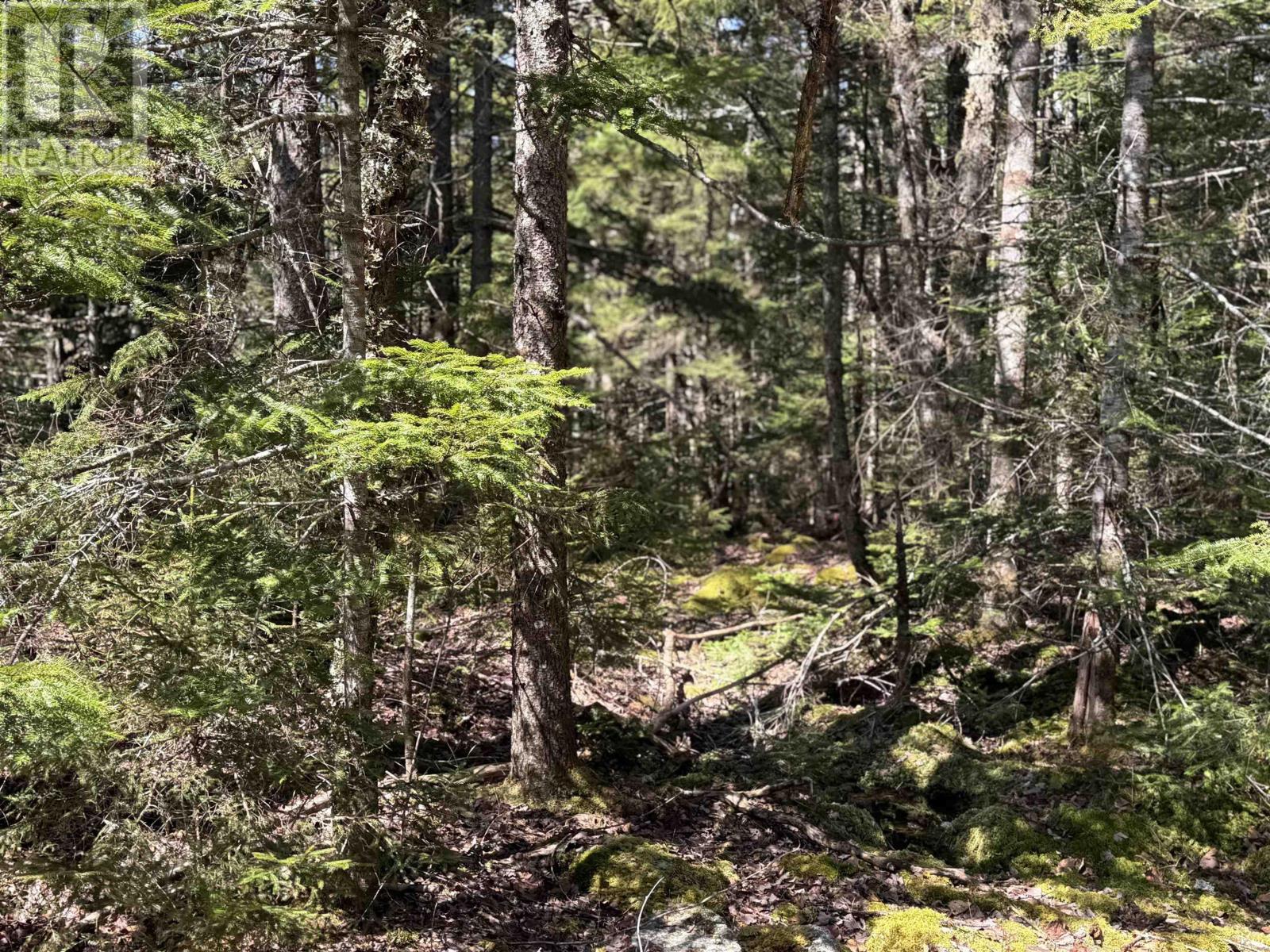 Lot 15 Bridge Road, Forties, Nova Scotia  B0J 2M0 - Photo 8 - 202506715