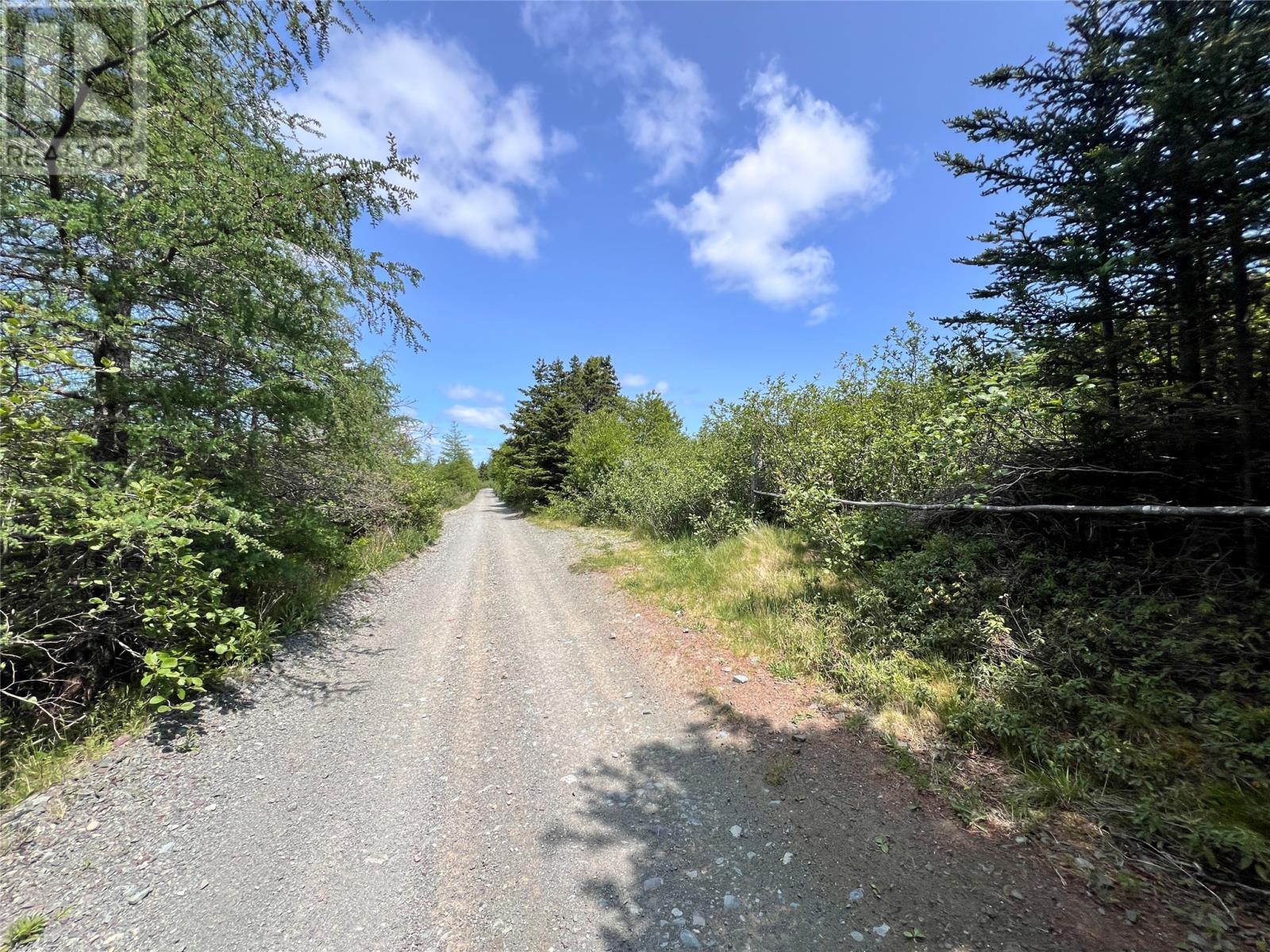 33-45 Long Pond Road, Brigus, Newfoundland & Labrador  A0A 1K0 - Photo 10 - 1287086