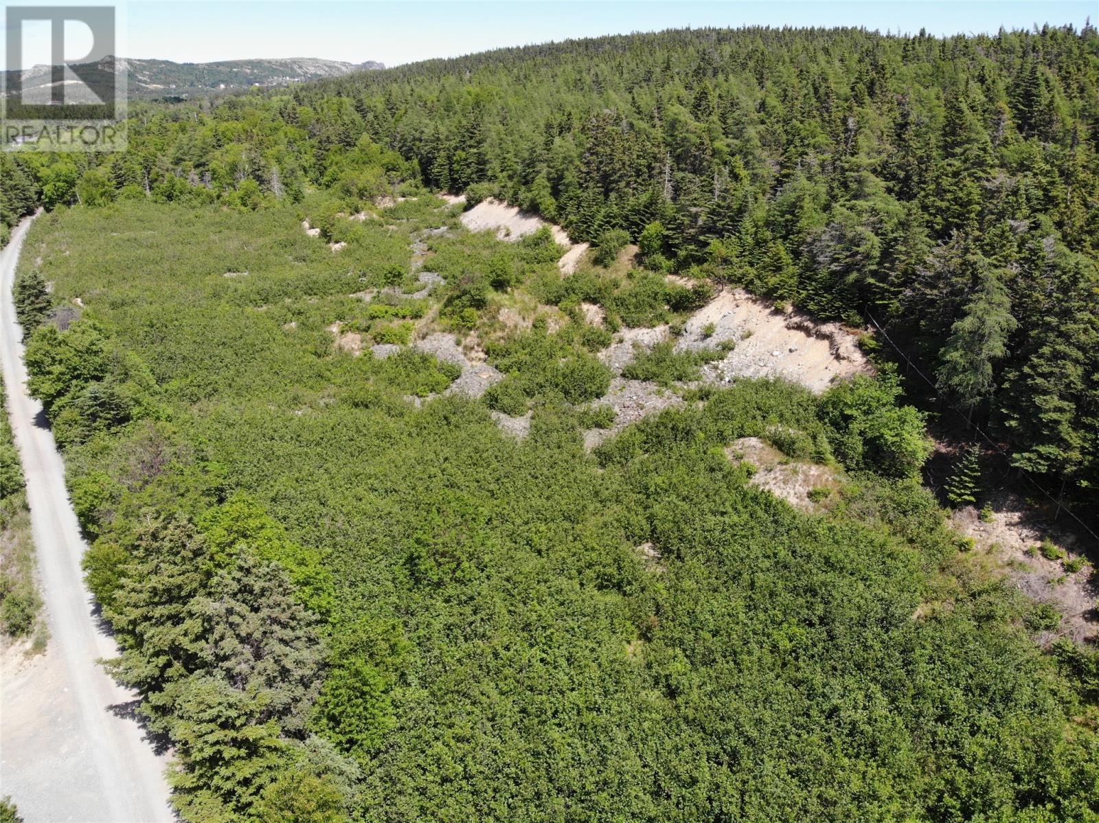 33-45 Long Pond Road, Brigus, Newfoundland & Labrador  A0A 1K0 - Photo 3 - 1287086