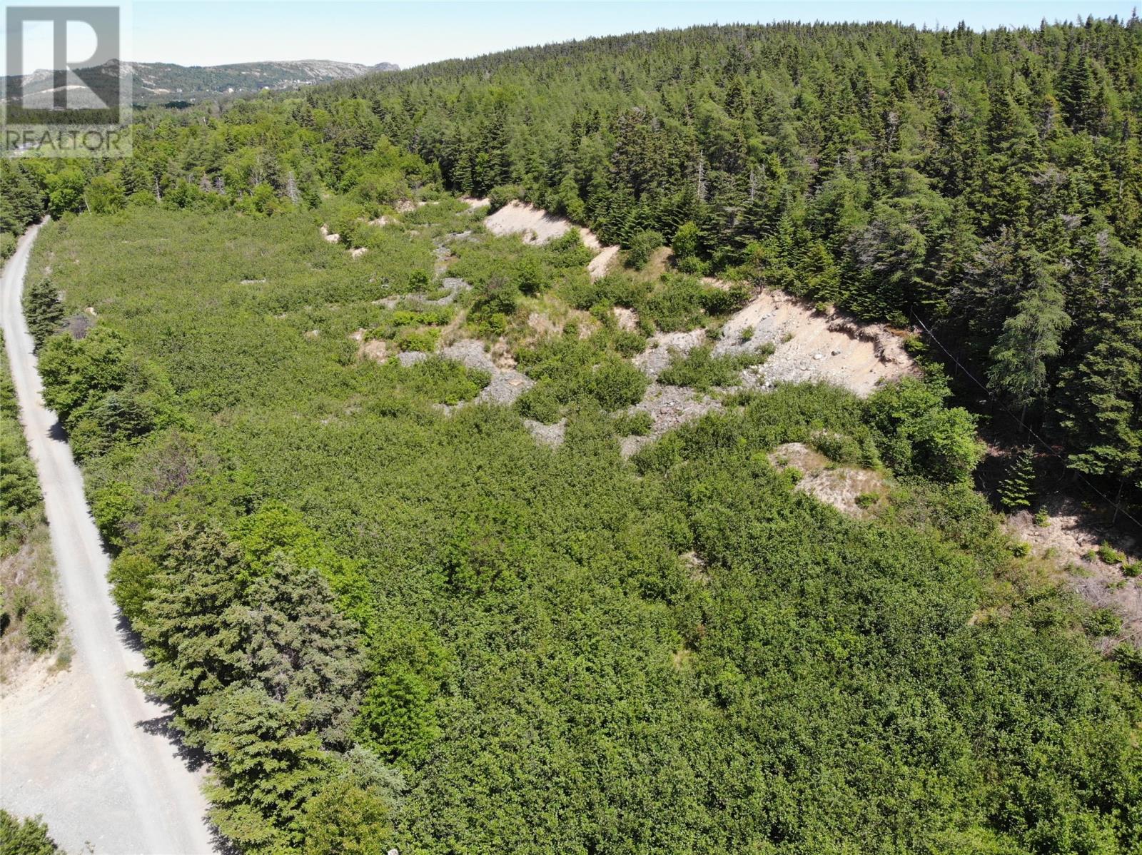 33-45 Long Pond Road, Brigus, Newfoundland & Labrador  A0A 1K0 - Photo 4 - 1287086