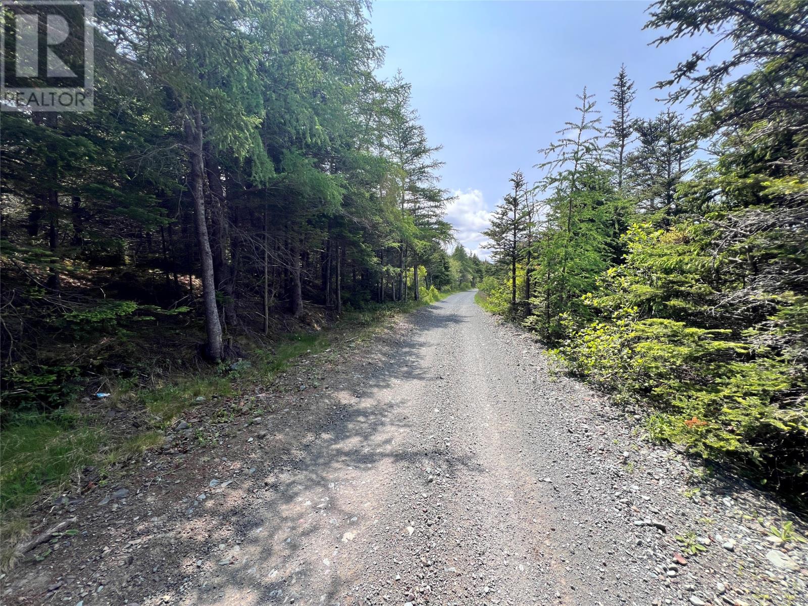 33-45 Long Pond Road, Brigus, Newfoundland & Labrador  A0A 1K0 - Photo 9 - 1287086
