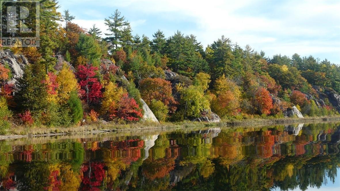 C1 L1 Collins Inlet, Killarney, Ontario  P0M 2A0 - Photo 26 - 2123157