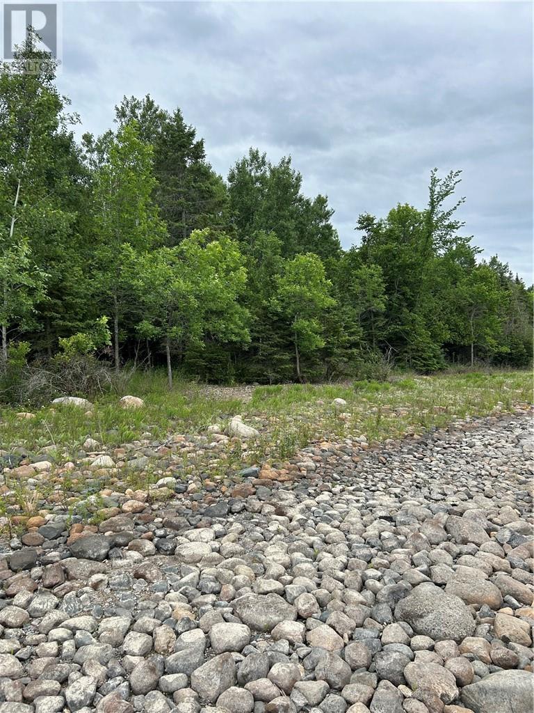 665 Newburn Road, Kagawong, Ontario  P0P 1J0 - Photo 14 - 2123072
