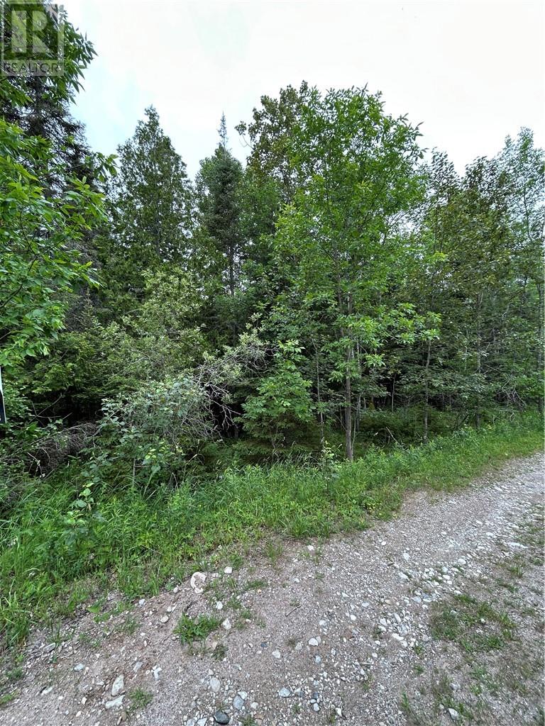 665 Newburn Road, Kagawong, Ontario  P0P 1J0 - Photo 15 - 2123072
