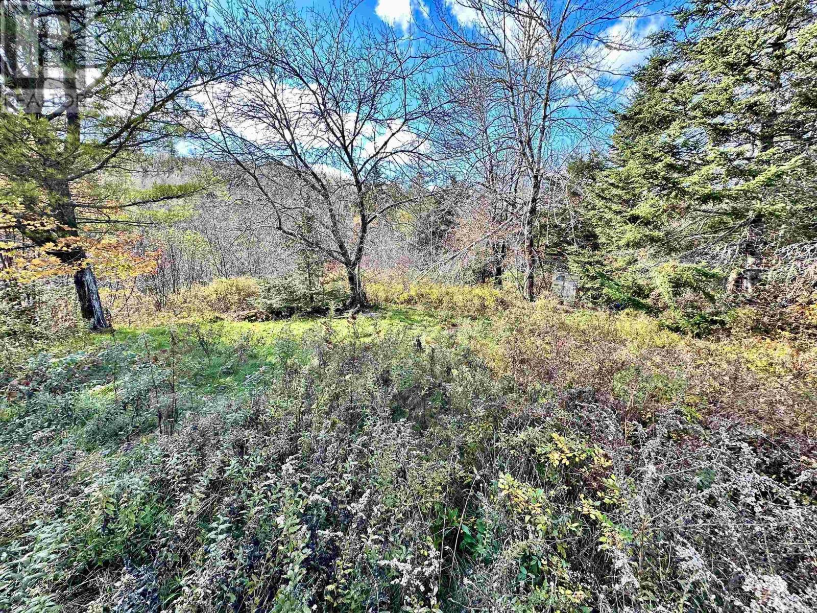 409 Highway 224, Sheet Harbour, Nova Scotia  B0J 3B0 - Photo 13 - 202501845