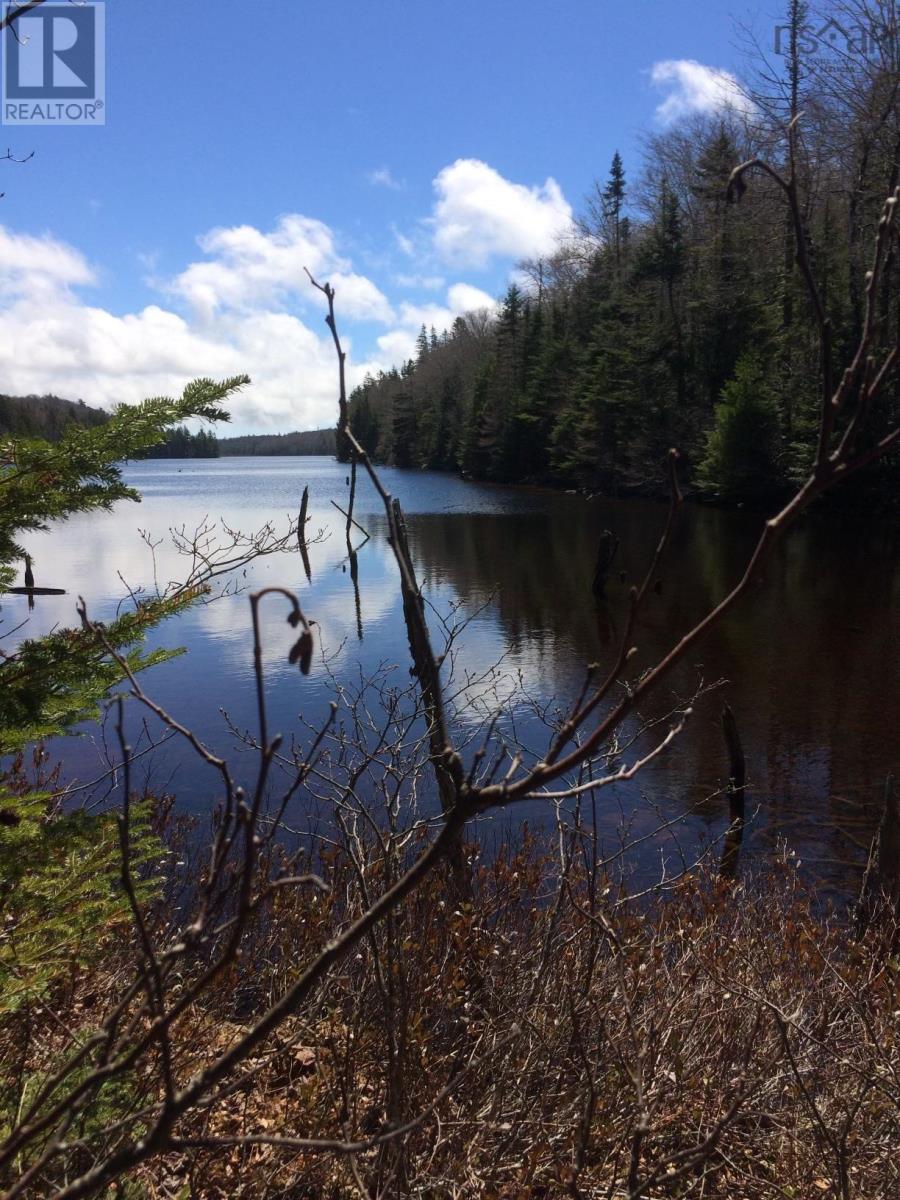 409 Highway 224, Sheet Harbour, Nova Scotia  B0J 3B0 - Photo 2 - 202501845