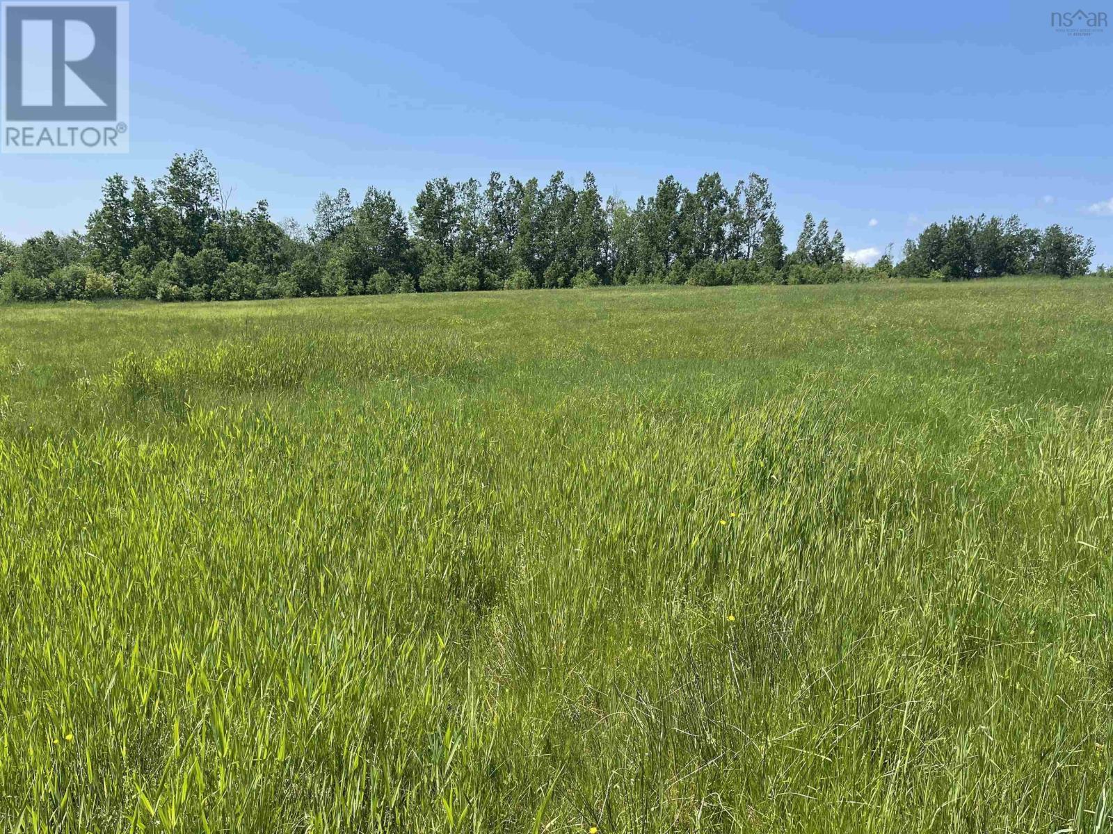 Lot 34 Saltwater Drive, Malagash, Nova Scotia  B0K 1E0 - Photo 5 - 202501769