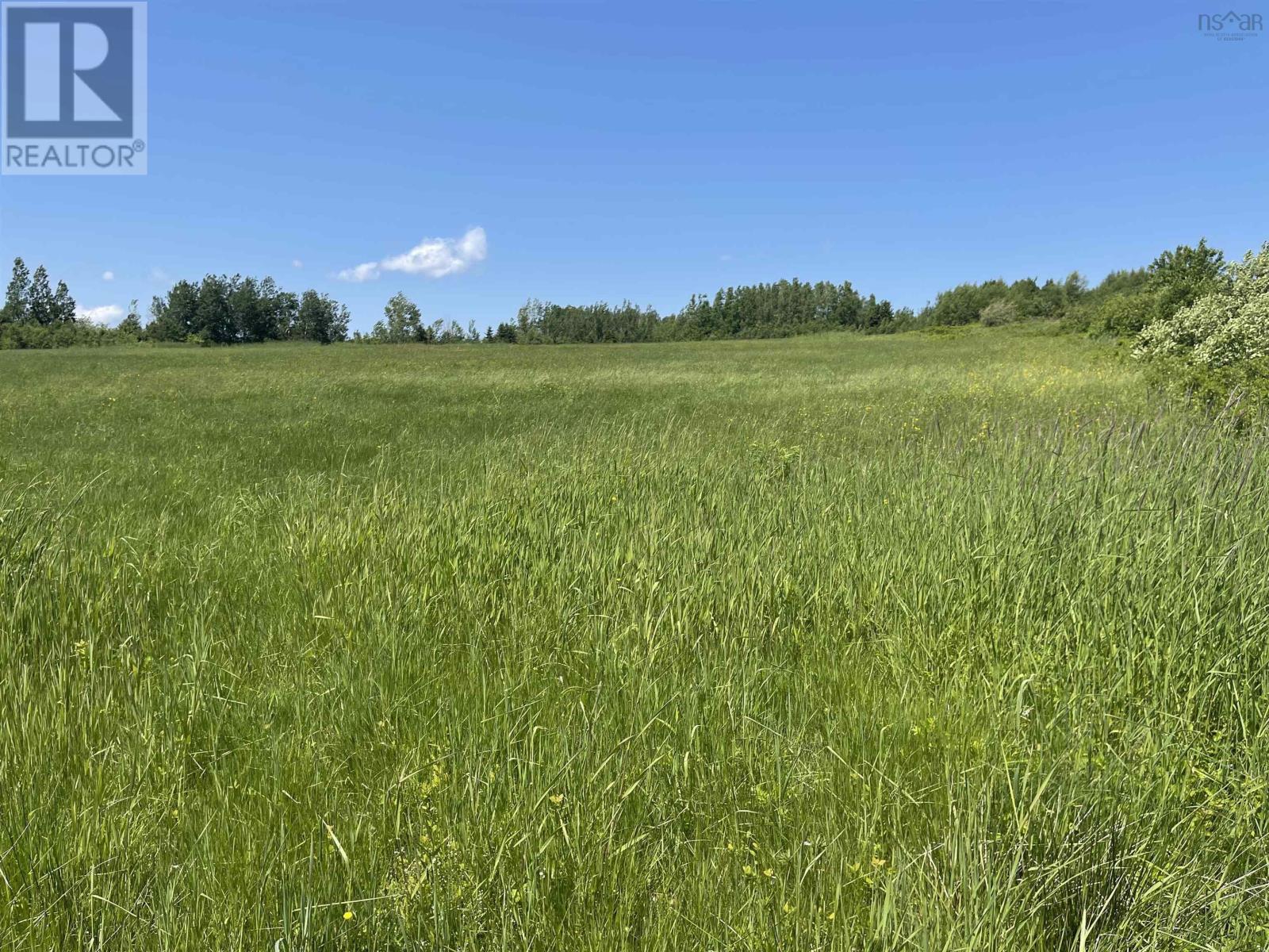 Lot 34 Saltwater Drive, Malagash, Nova Scotia  B0K 1E0 - Photo 3 - 202501769