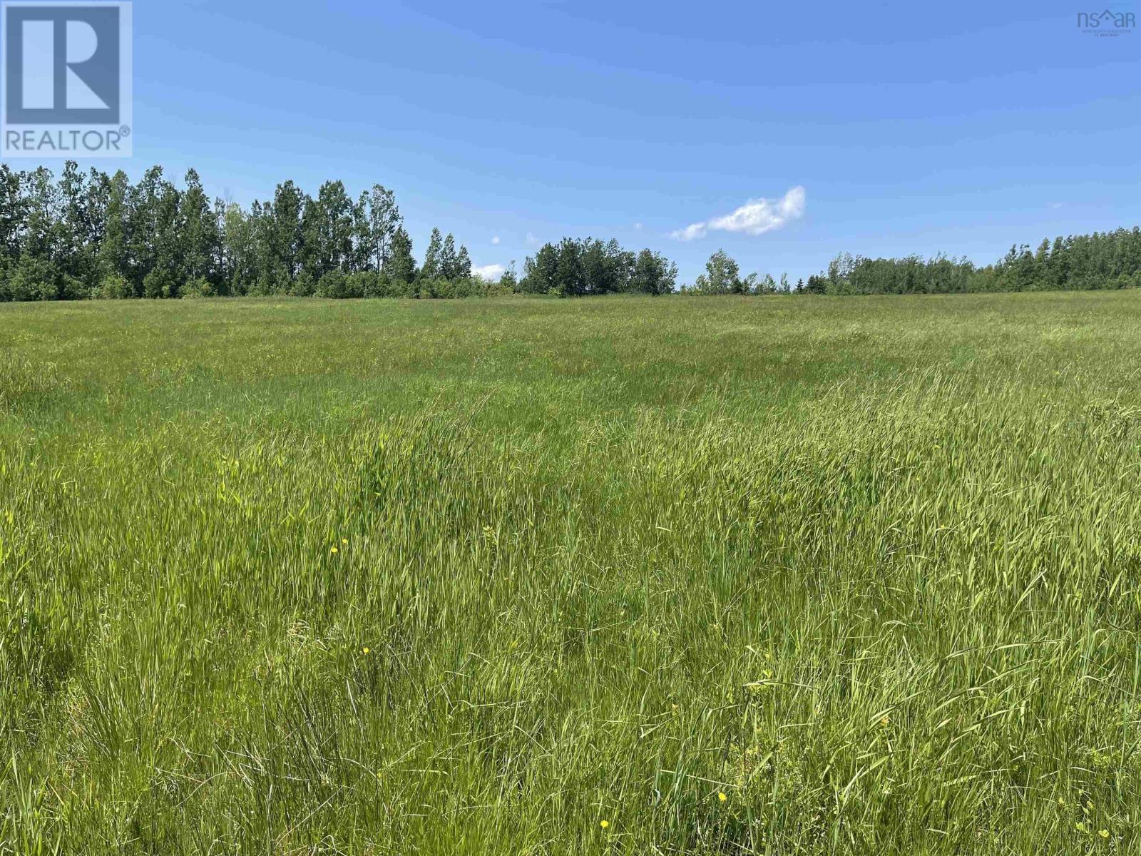 Lot 35 Saltwater Drive, Malagash, Nova Scotia  B0K 1E0 - Photo 4 - 202501770