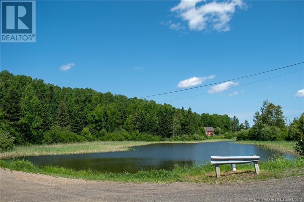 2288 Ch.maltais, Val-D'amour, New Brunswick  E3N 5J2 - Photo 12 - NB120998