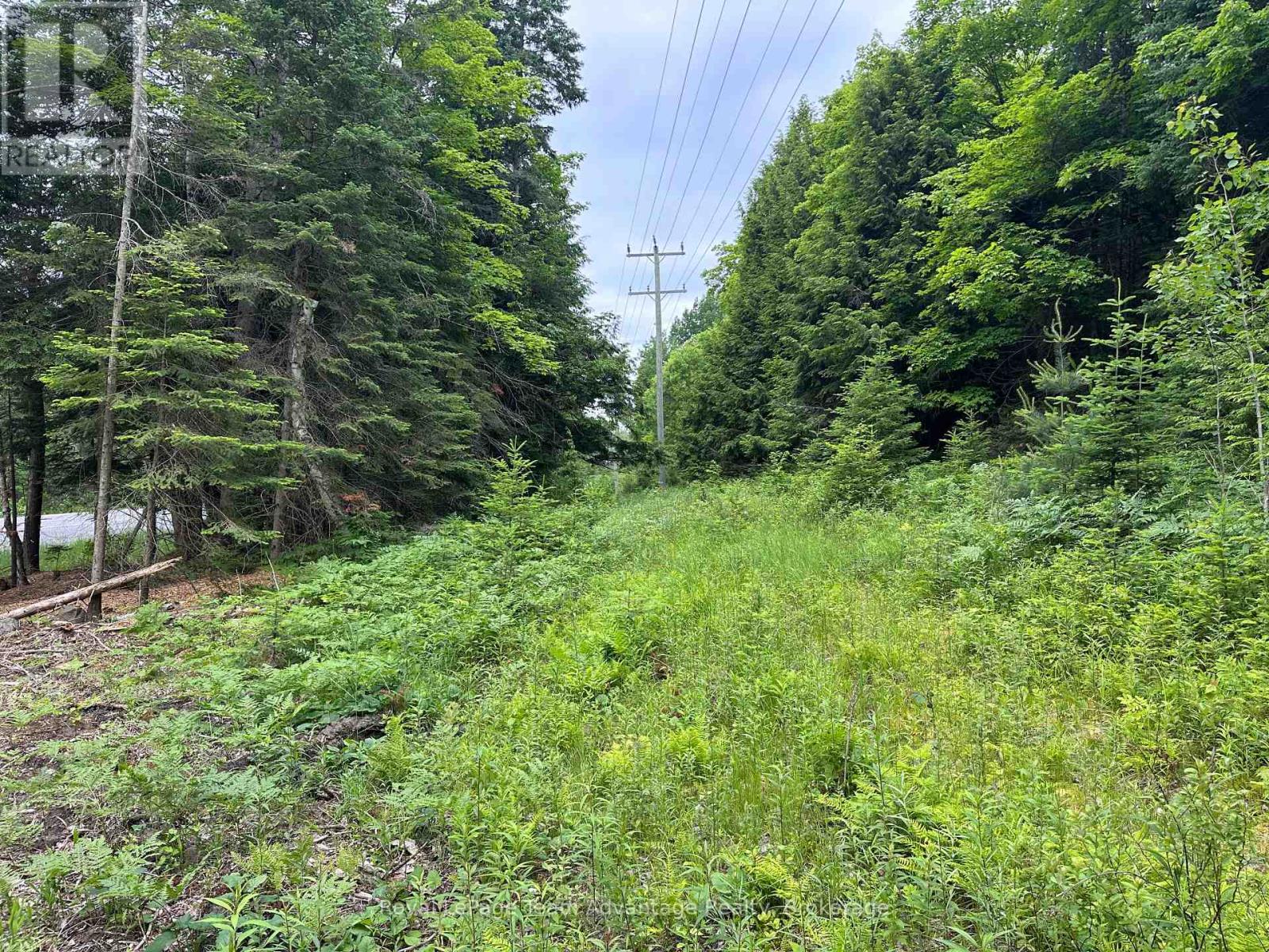 259 Shebeshekong Road, Carling, Ontario  P0G 1G0 - Photo 14 - X12249486