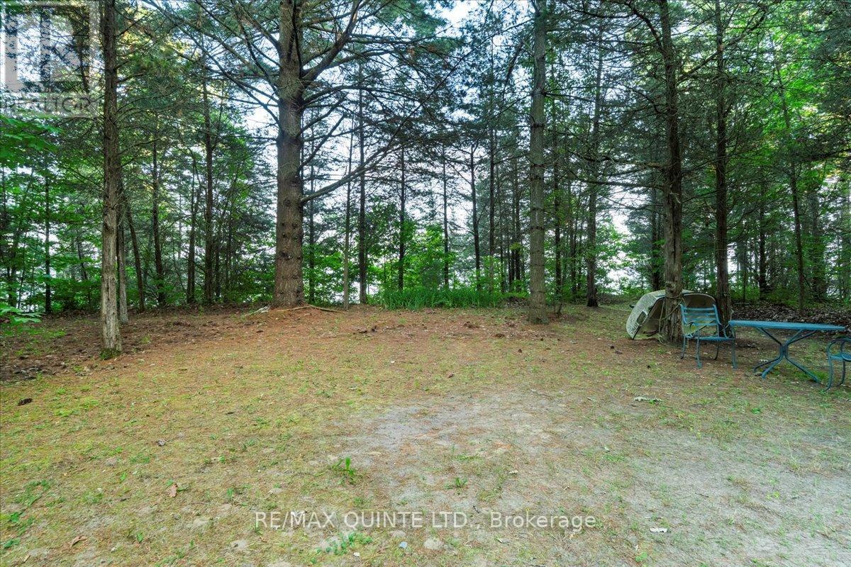 102 Dorenberg Lane, Prince Edward County, Ontario  K0K 2T0 - Photo 8 - X12249648