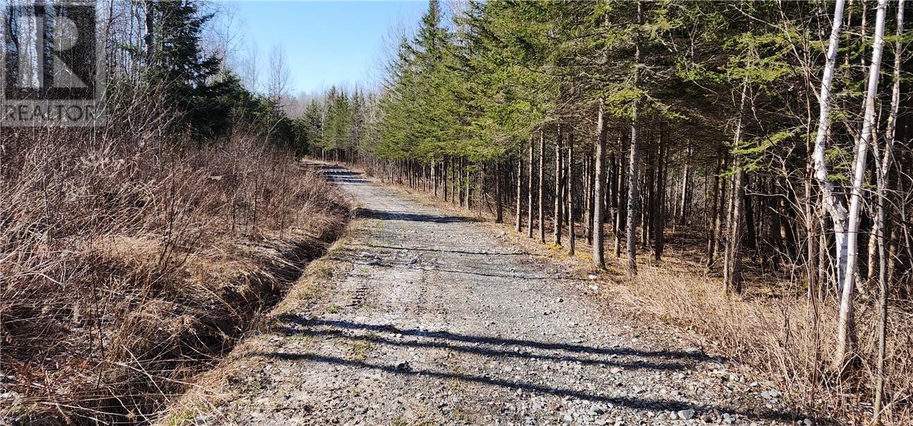 39 Noland Road, Markstay, Ontario  P0M 1X0 - Photo 42 - 2123183