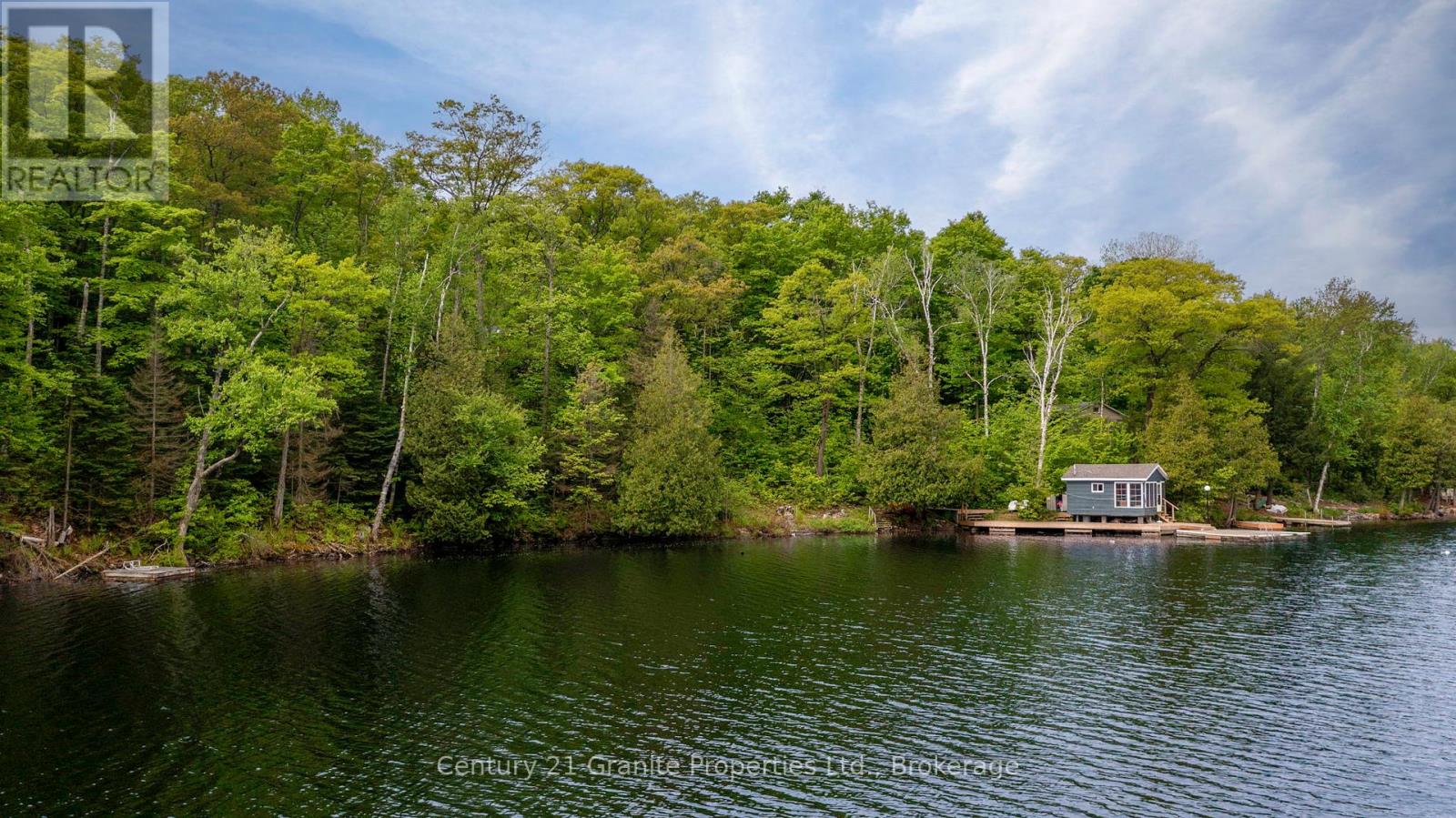 131 Downes Road, Seguin, Ontario  P2A 2W8 - Photo 33 - X12249691