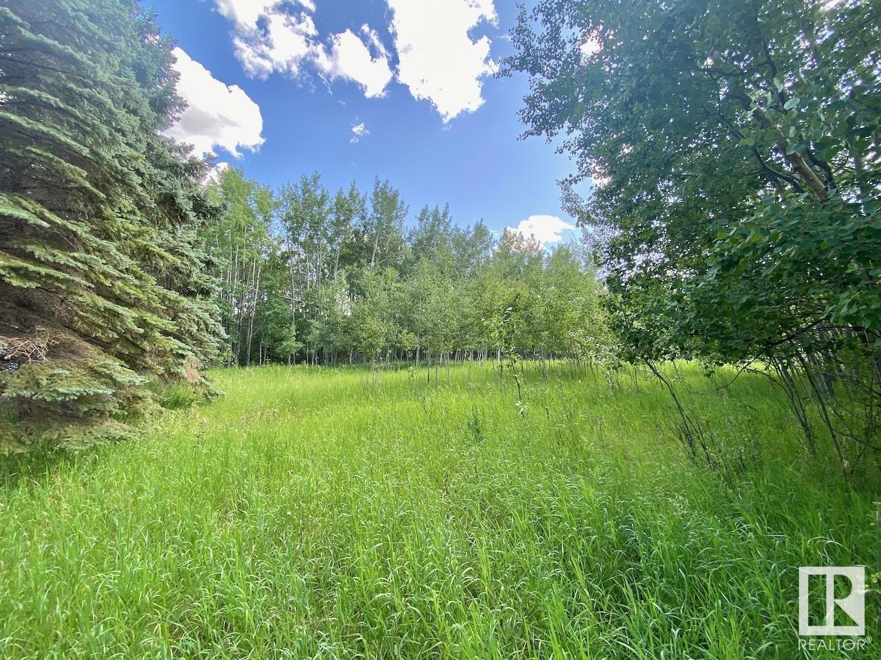 726 67325 Churchill Park Road, Rural Lac La Biche County, Alberta  T0A 2C0 - Photo 3 - E4443947