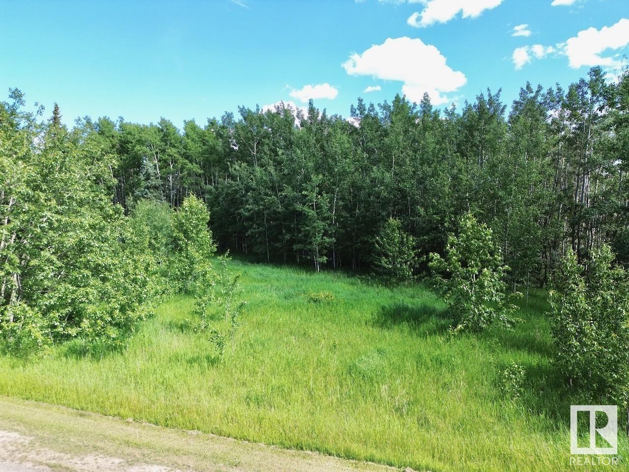 726 67325 Churchill Park Road, Rural Lac La Biche County, Alberta  T0A 2C0 - Photo 4 - E4443947