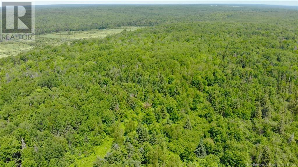 0 Route 115, Irishtown, New Brunswick  E1H 2N1 - Photo 13 - NB115187