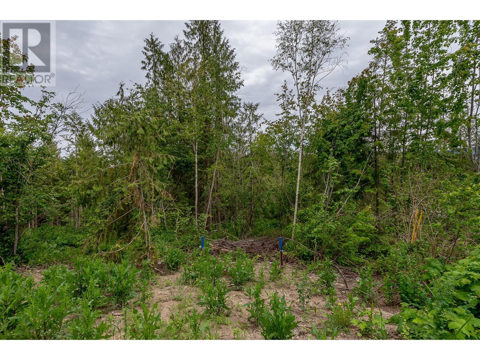 125 Timberlane Road, Enderby, British Columbia  V0E 1V1 - Photo 12 - 10353907