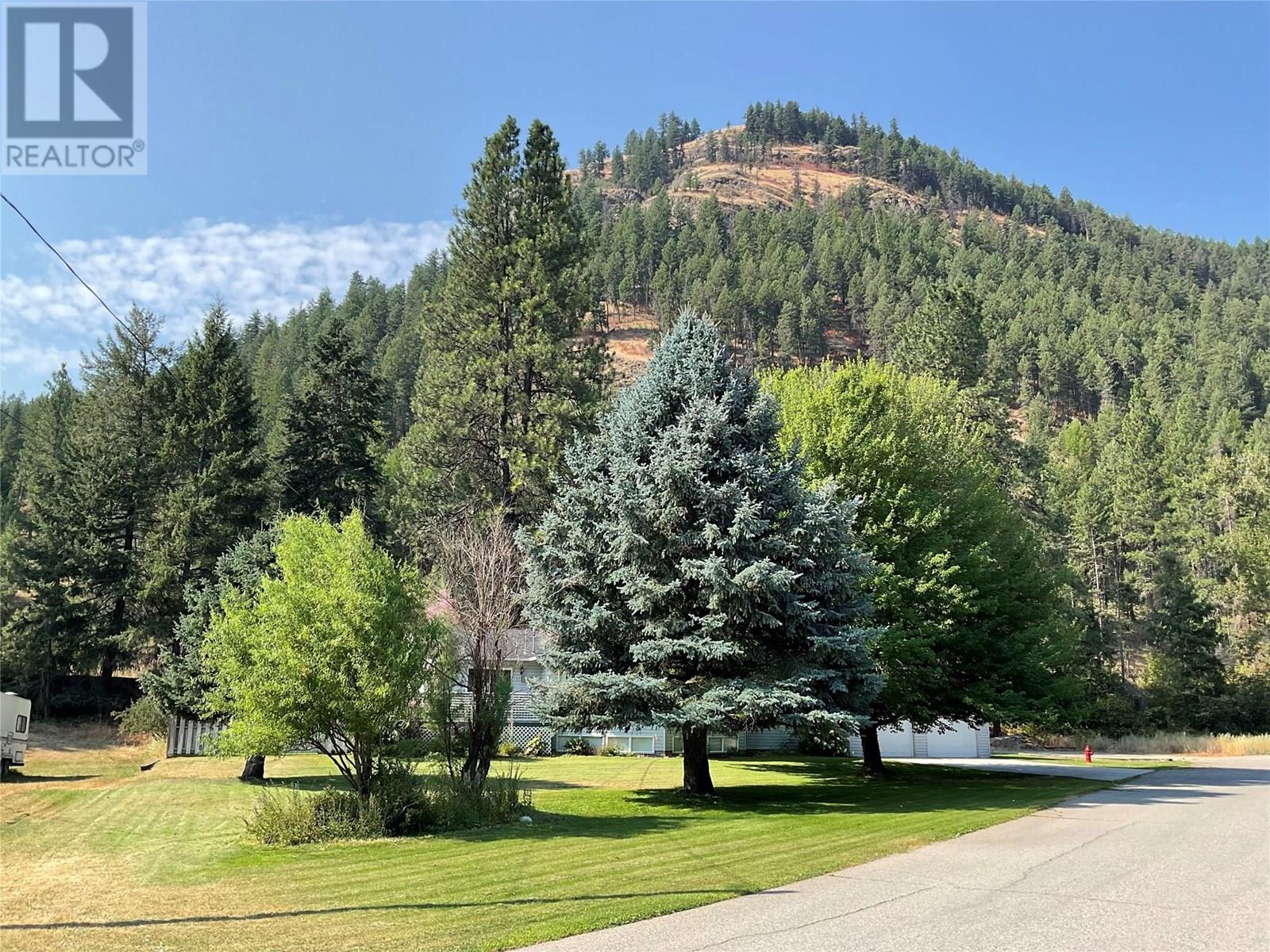 706 Central Avenue, Midway, British Columbia  V0H 1M0 - Photo 12 - 10354052