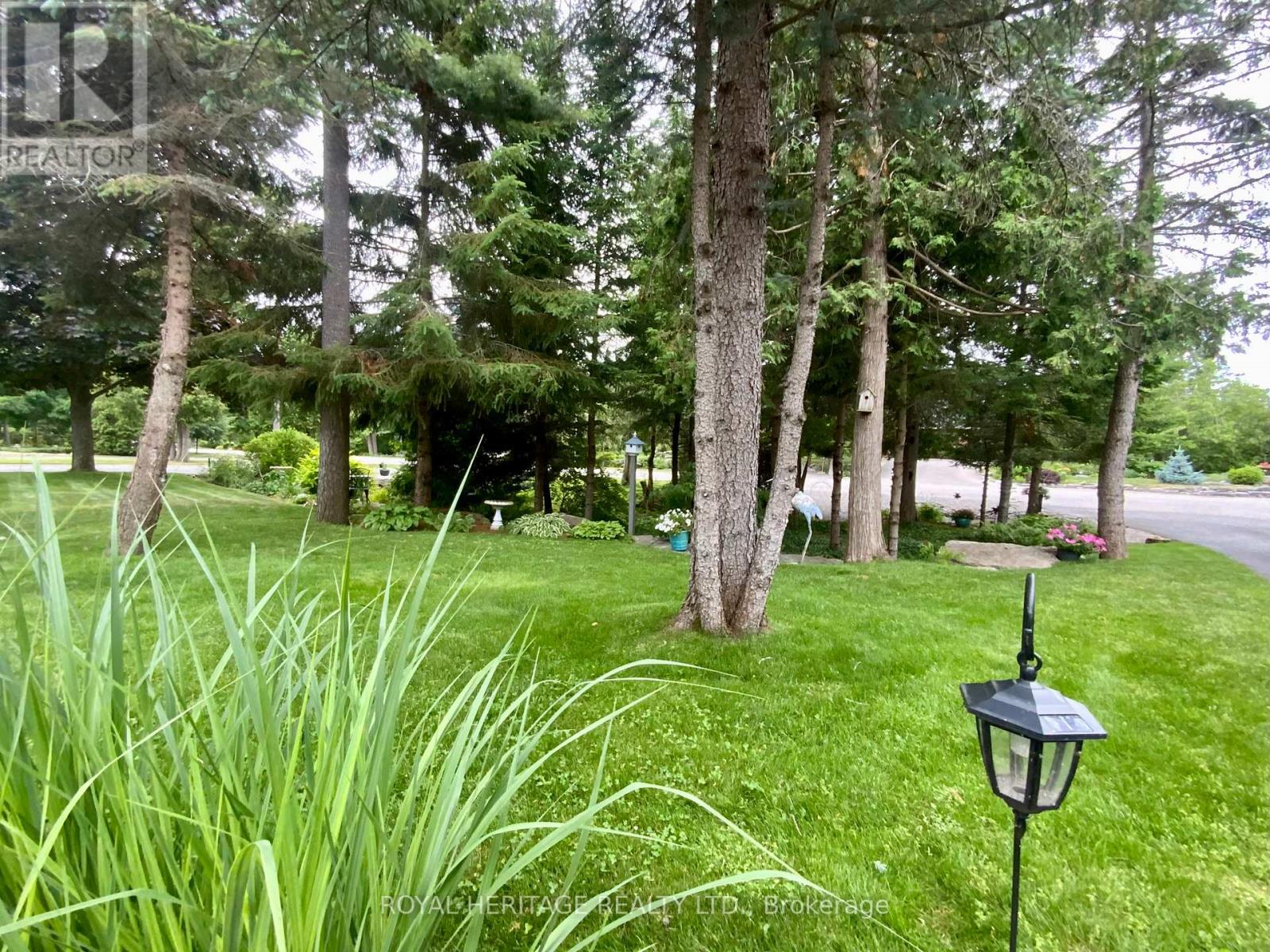 Property at 38 PATRICIA PLACE image 3