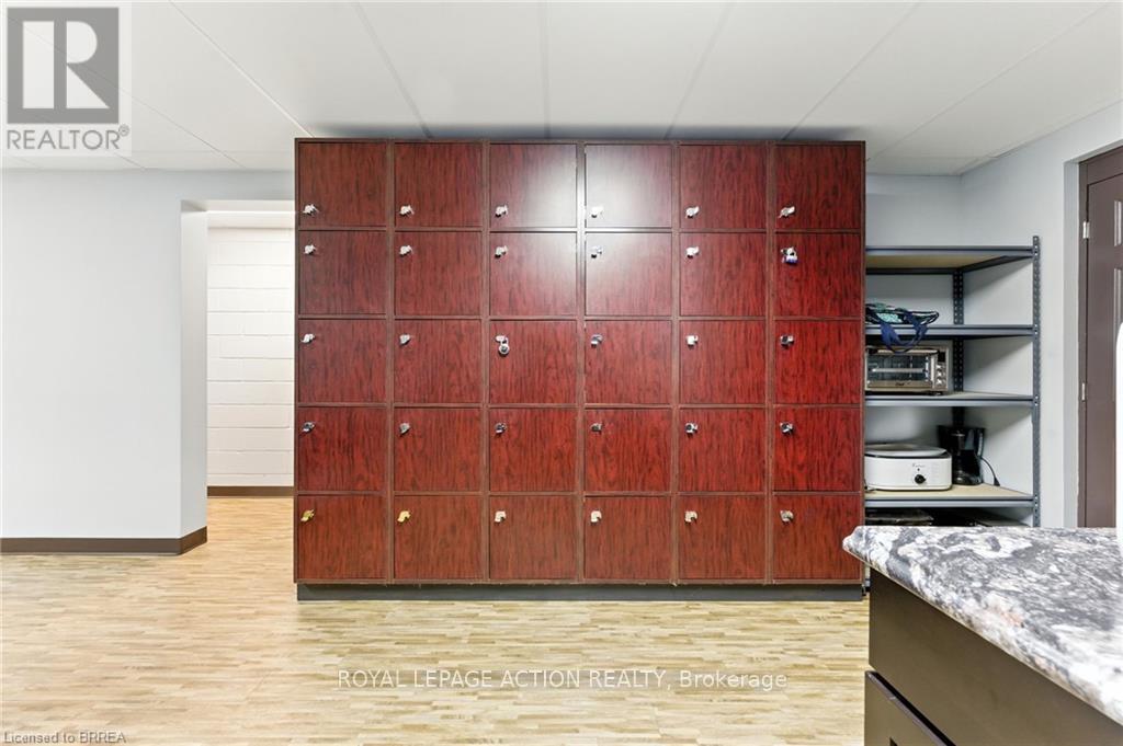 207 Greenwich Street, Brantford, Ontario  N3S 2X7 - Photo 35 - X12250307