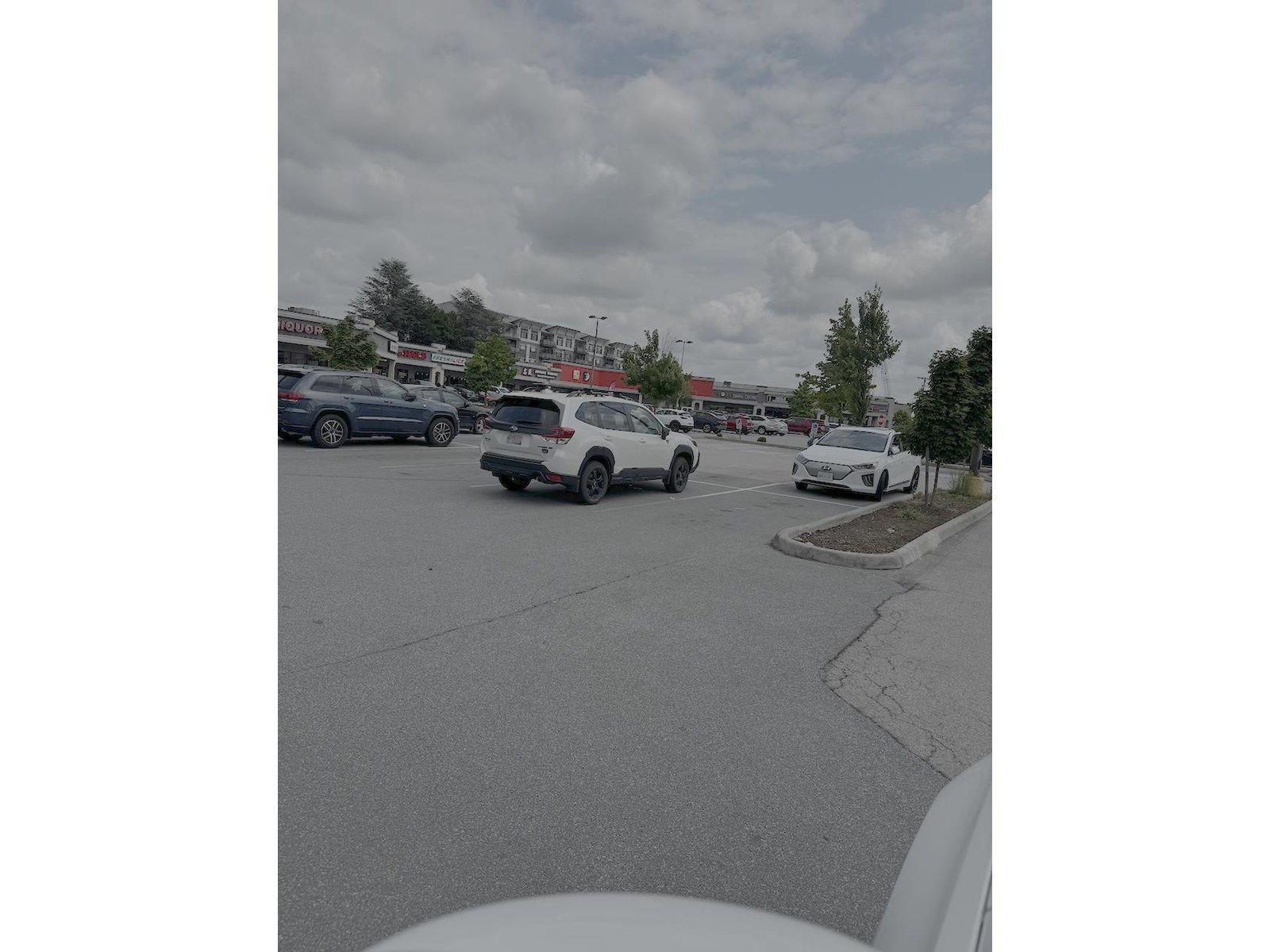 105 20151 Fraser Highway, Langley, British Columbia  V3A 4E4 - Photo 10 - C8070377