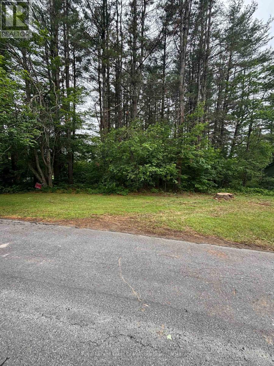 124 Frederick Street, Bracebridge, Ontario  P1L 1B5 - Photo 3 - X12250411