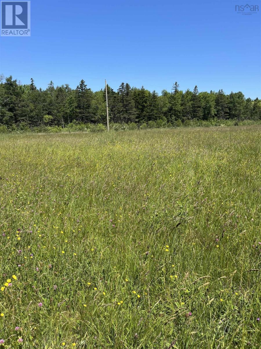 Lot Waldeck Line Road, Waldeck, Nova Scotia  B0S 1E0 - Photo 14 - 202516010