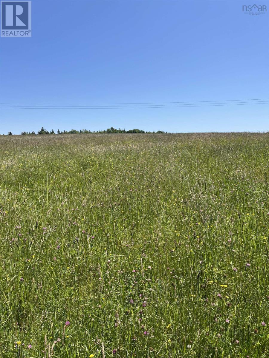 Lot Waldeck Line Road, Waldeck, Nova Scotia  B0S 1E0 - Photo 15 - 202516010