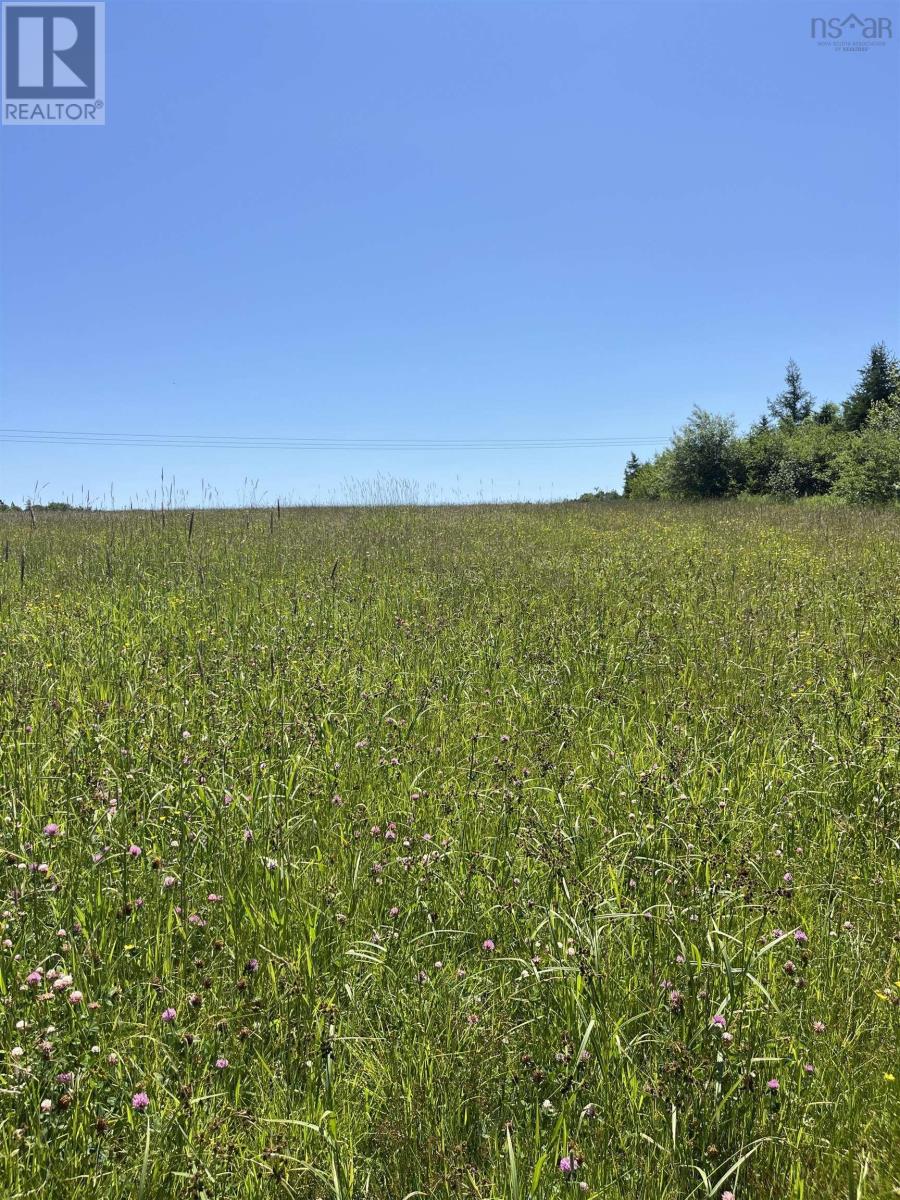 Lot Waldeck Line Road, Waldeck, Nova Scotia  B0S 1E0 - Photo 6 - 202516010