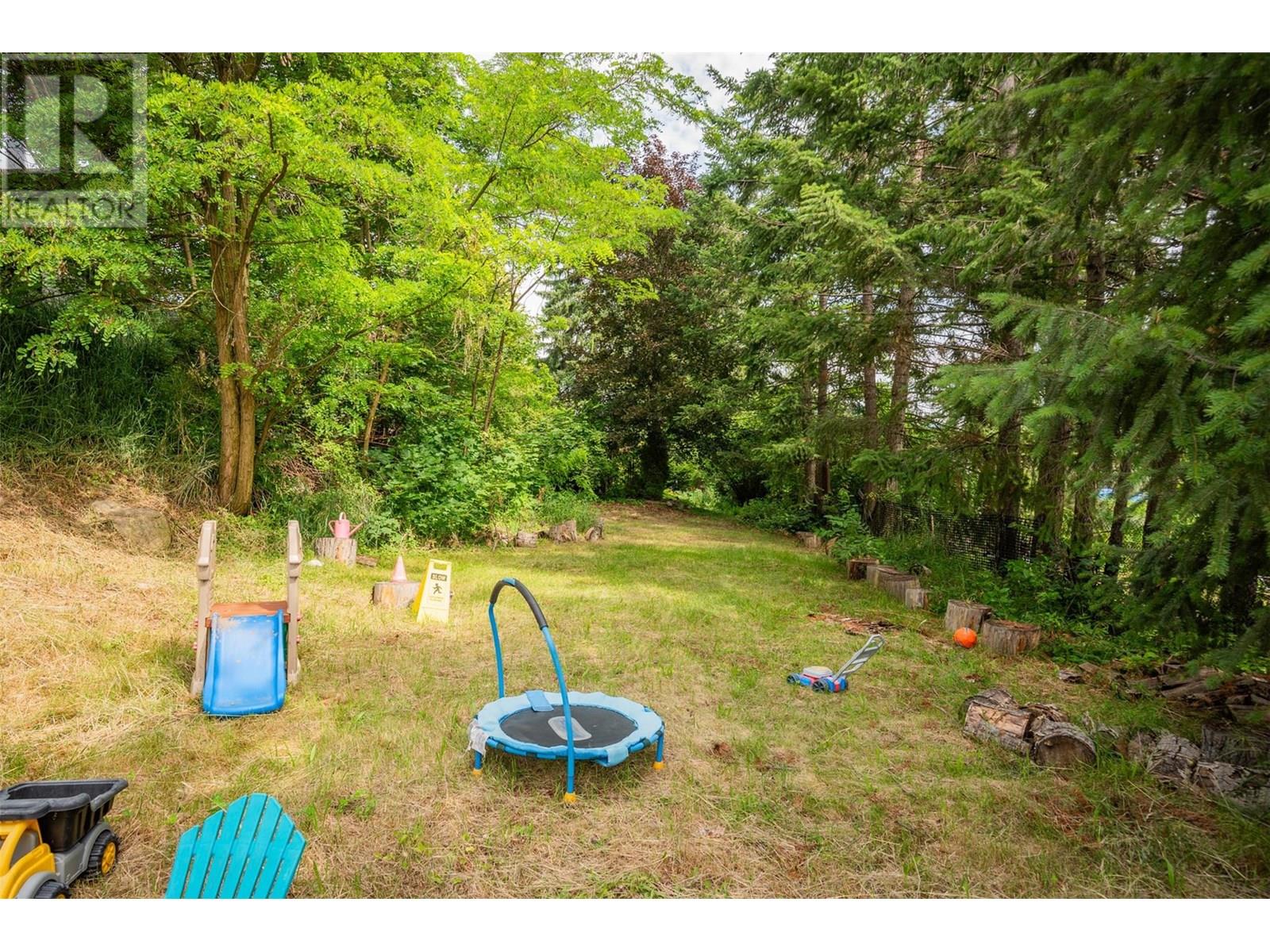 3209 5th Avenue, Castlegar, British Columbia  V1N 2V6 - Photo 76 - 10354029