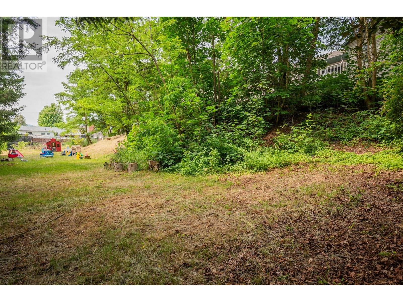 3209 5th Avenue, Castlegar, British Columbia  V1N 2V6 - Photo 77 - 10354029