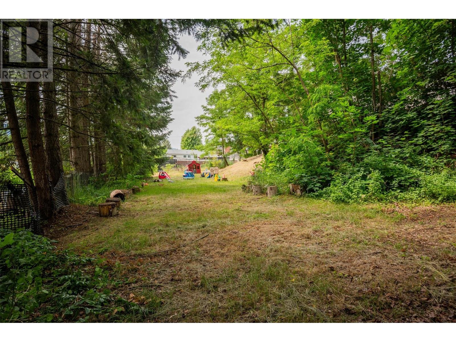 3209 5th Avenue, Castlegar, British Columbia  V1N 2V6 - Photo 78 - 10354029
