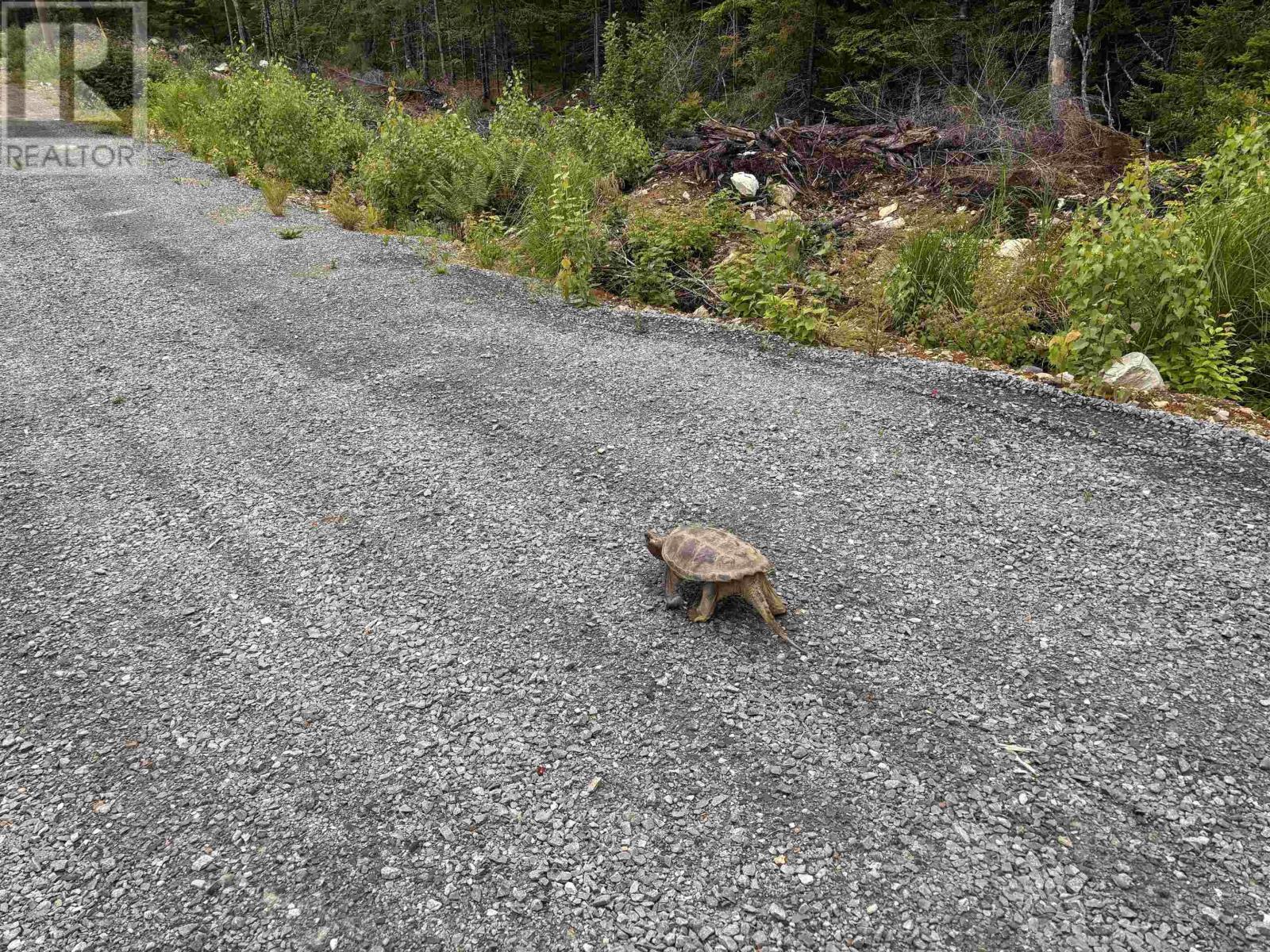 Lot 5-23 Huber Road, Camperdown, Nova Scotia  B4V 6T6 - Photo 14 - 202515481