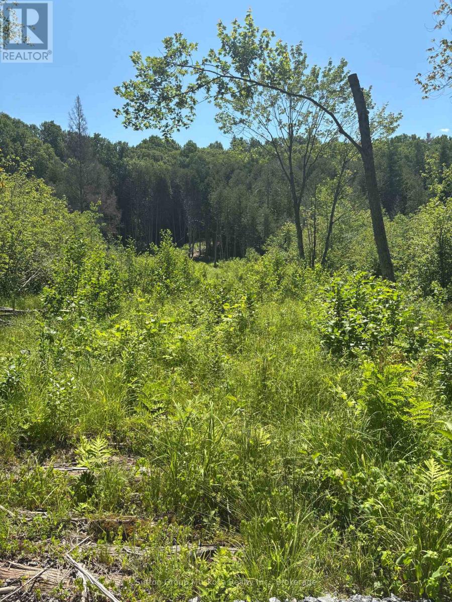 0 Rosseau Lake Rd. 1 Road, Muskoka Lakes (Watt), Ontario  P0B 1M0 - Photo 2 - X12250641