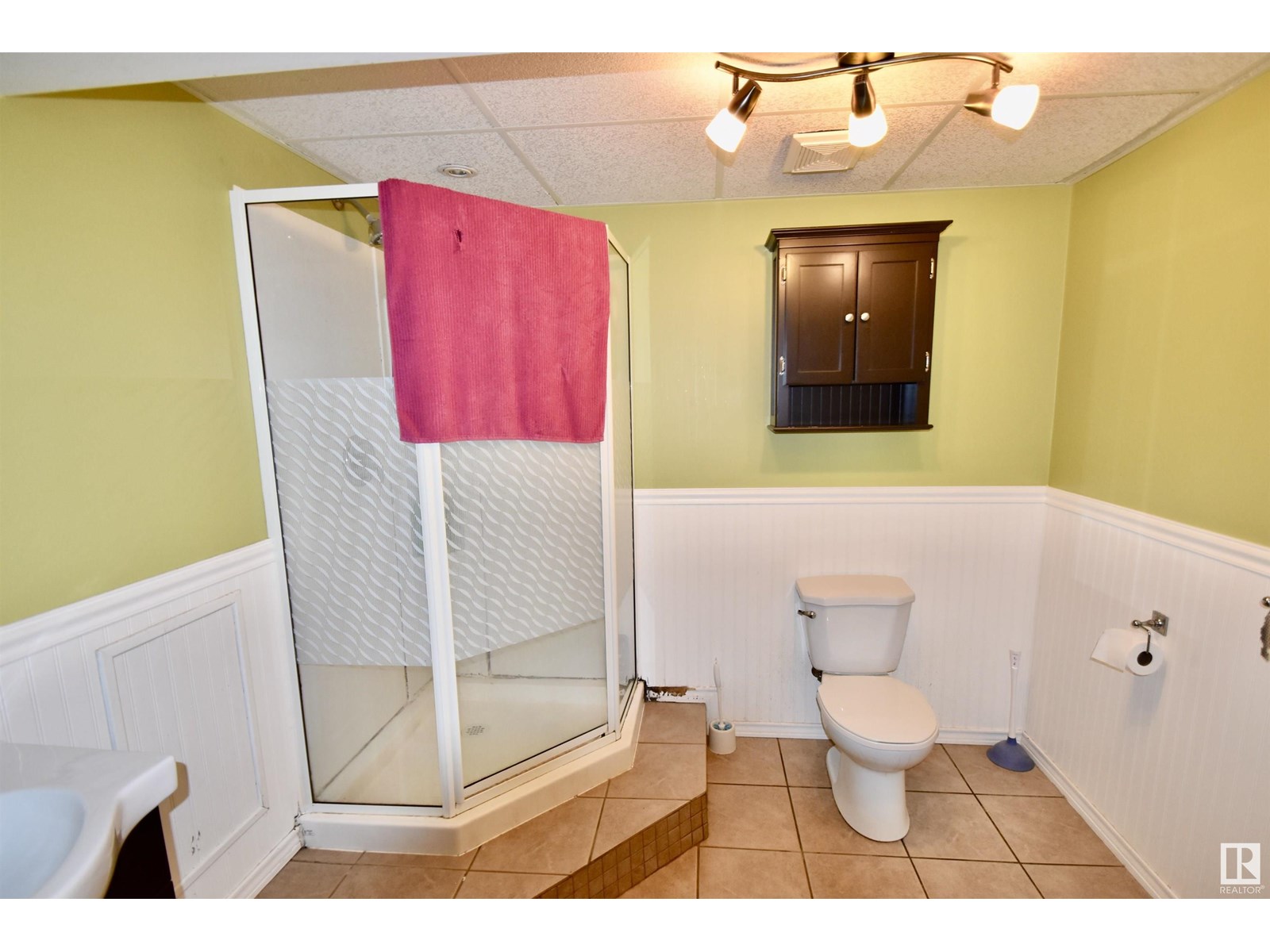 4405 46a St, St. Paul Town, Alberta  T0A 3A3 - Photo 16 - E4444759