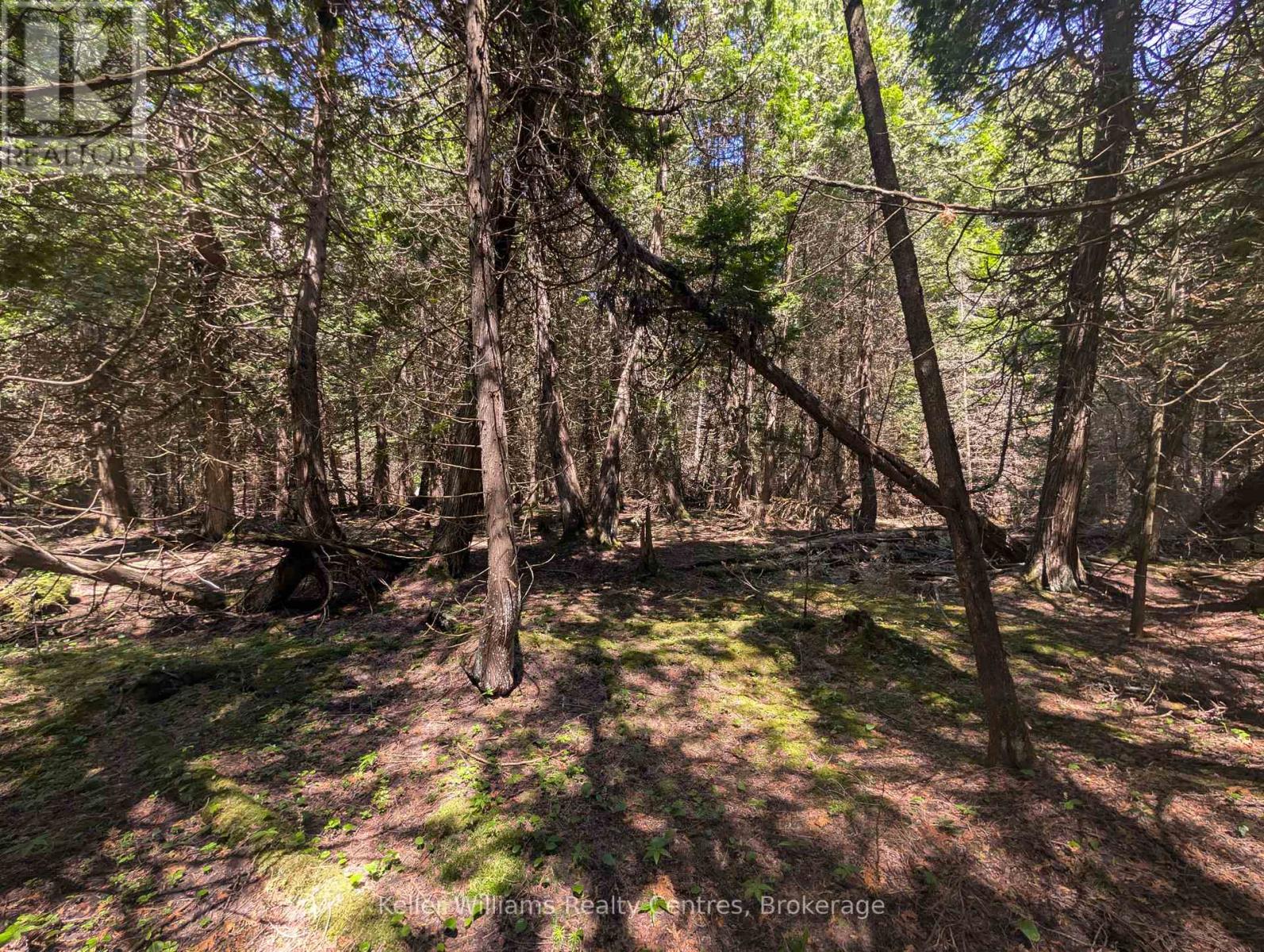 Pt Lt 56 Con 4 Cape Hurd Road, Northern Bruce Peninsula, Ontario  N0H 2R0 - Photo 13 - X12250745