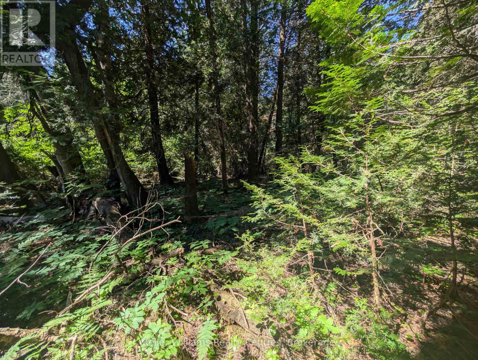 Pt Lt 56 Con 4 Cape Hurd Road, Northern Bruce Peninsula, Ontario  N0H 2R0 - Photo 22 - X12250745