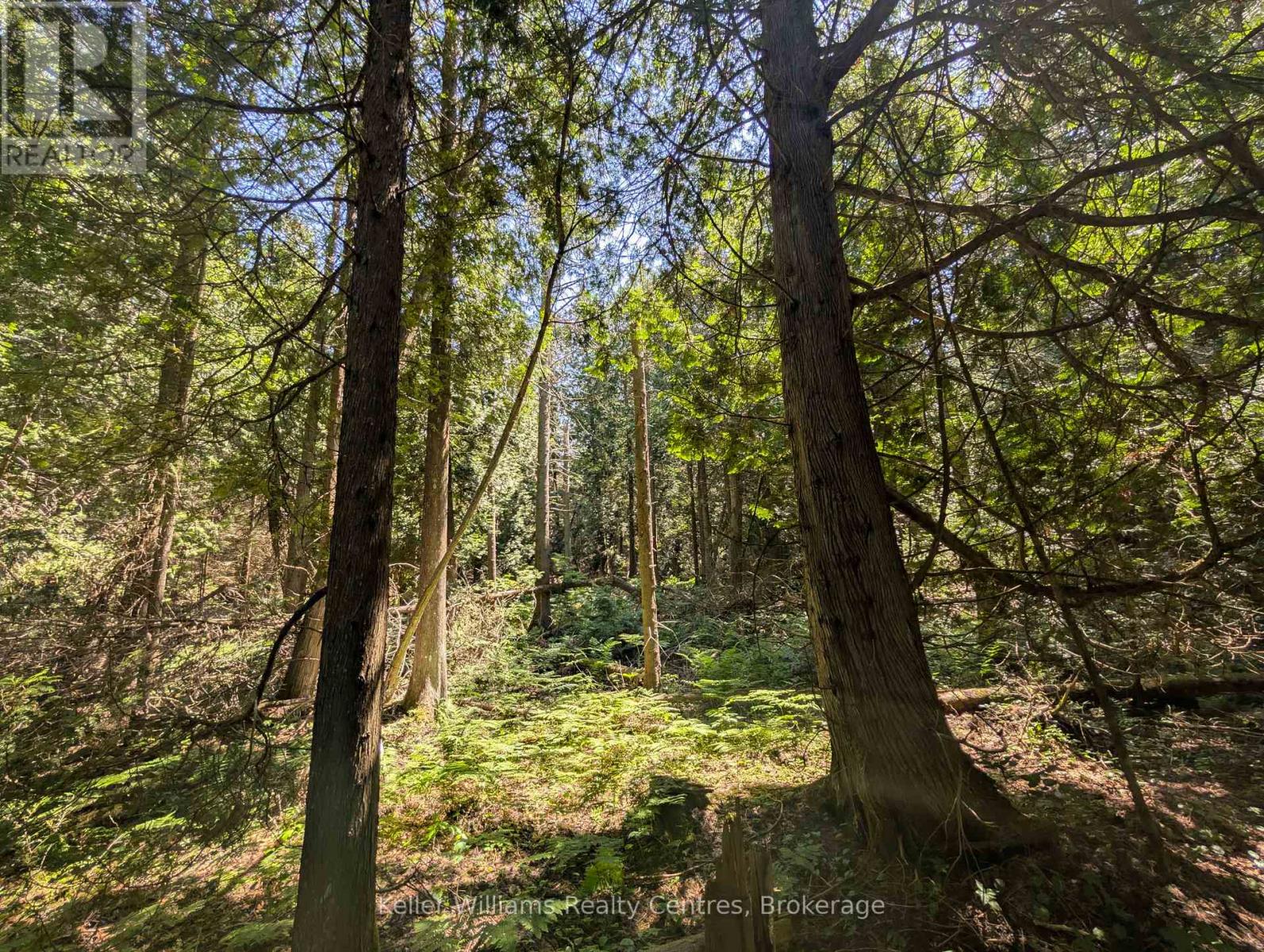 Pt Lt 56 Con 4 Cape Hurd Road, Northern Bruce Peninsula, Ontario  N0H 2R0 - Photo 24 - X12250745