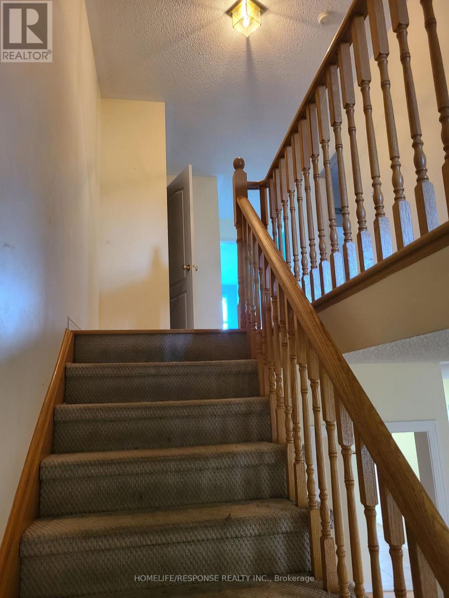 Property at 14 ROTUNDA STREET image 3