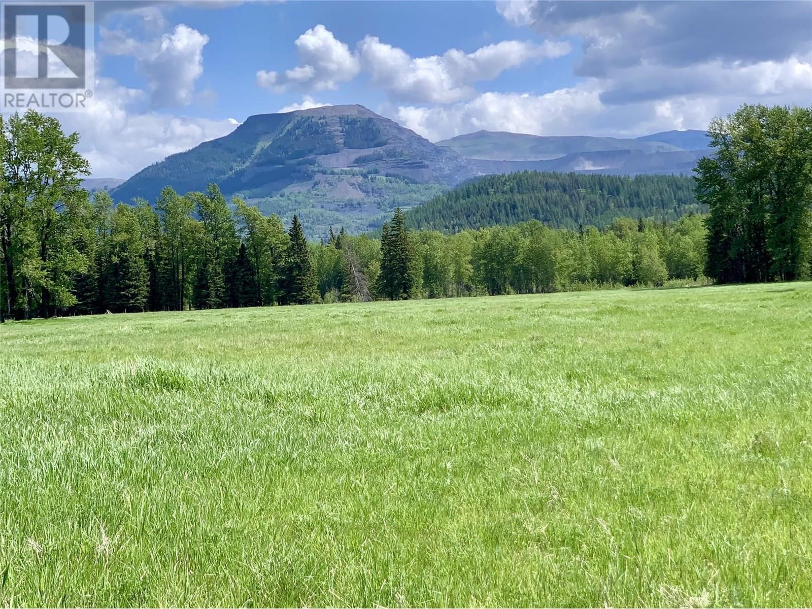 1280 Matevic Road, Sparwood, British Columbia  V0B 2G1 - Photo 18 - 10351664