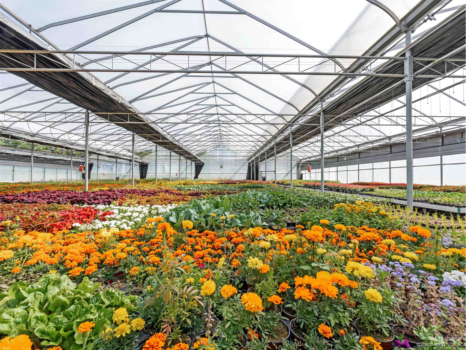 1262 176 Street, Surrey, British Columbia  V3Z 9S5 - Photo 31 - R3015109