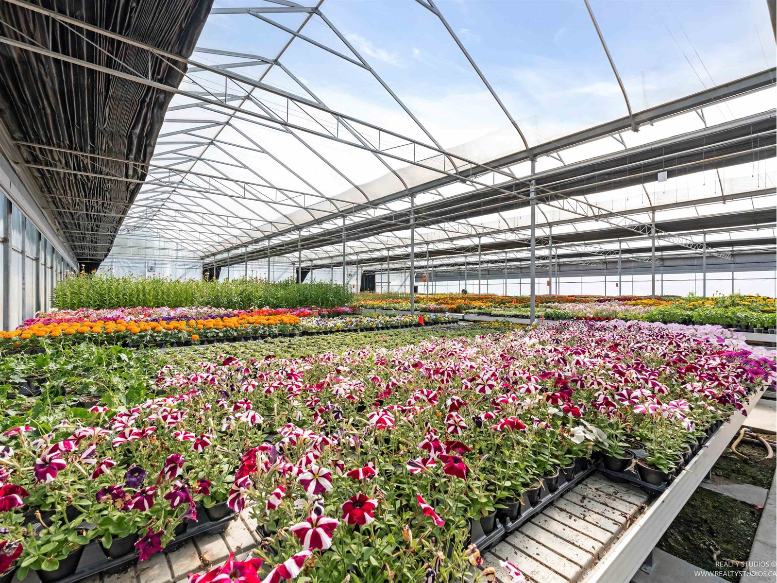 1262 176 Street, Surrey, British Columbia  V3Z 9S5 - Photo 30 - R3015109