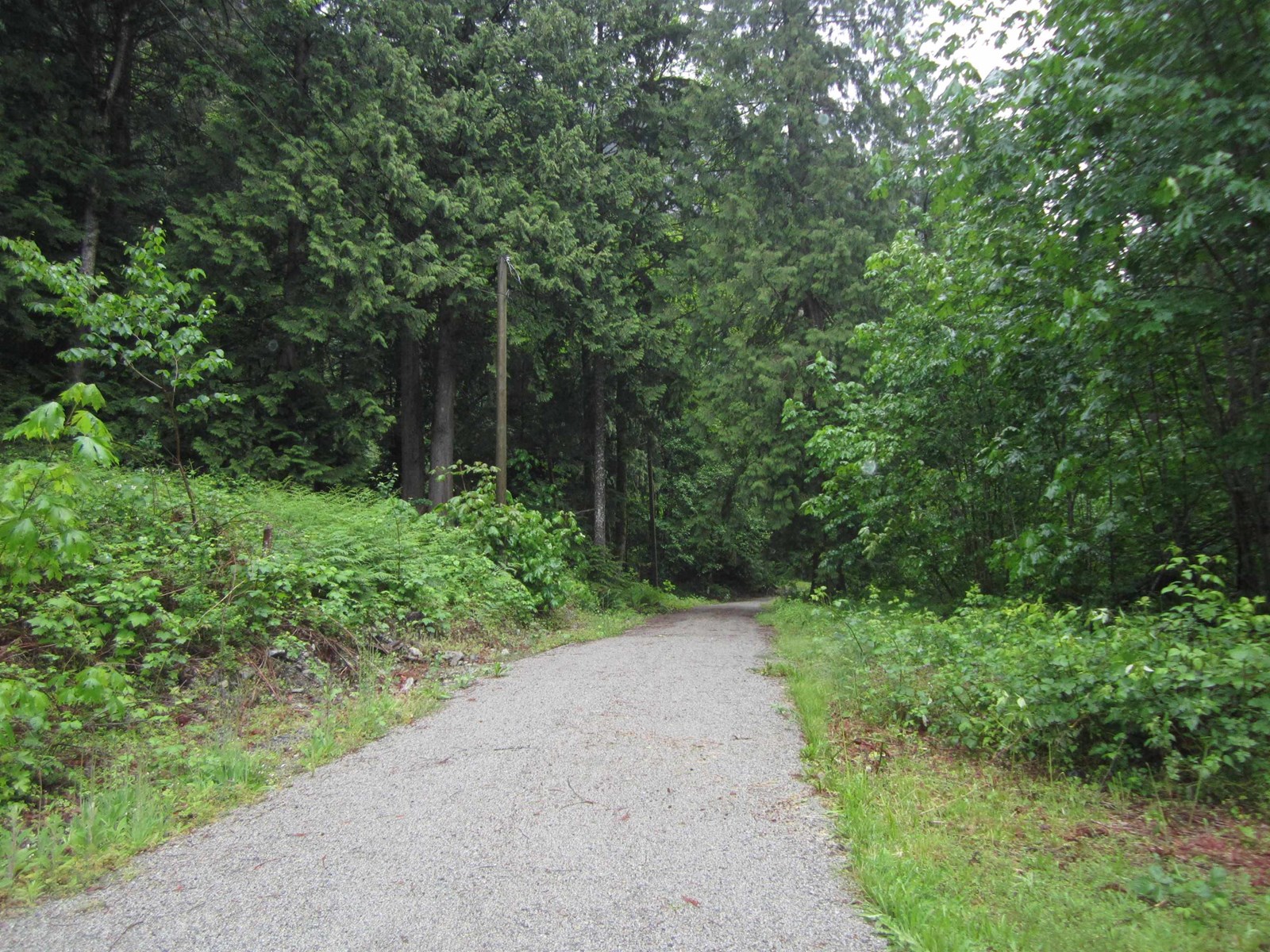 11121 Barnes Road, Mission, British Columbia  V0M 1G0 - Photo 22 - R2942293